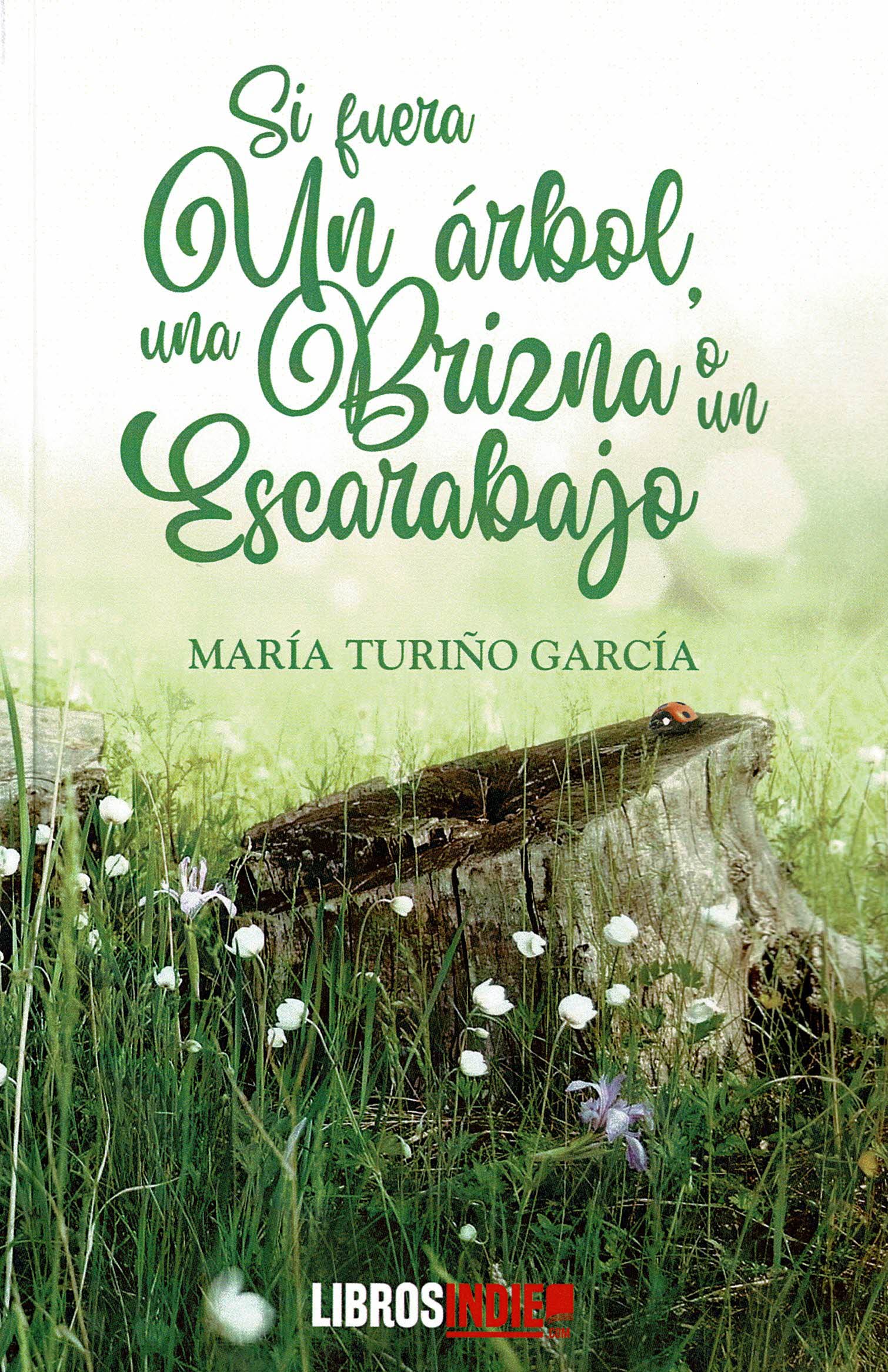 Si fuera un árbol, una brizna o un escarabajo Fantasy & Sci-Fi