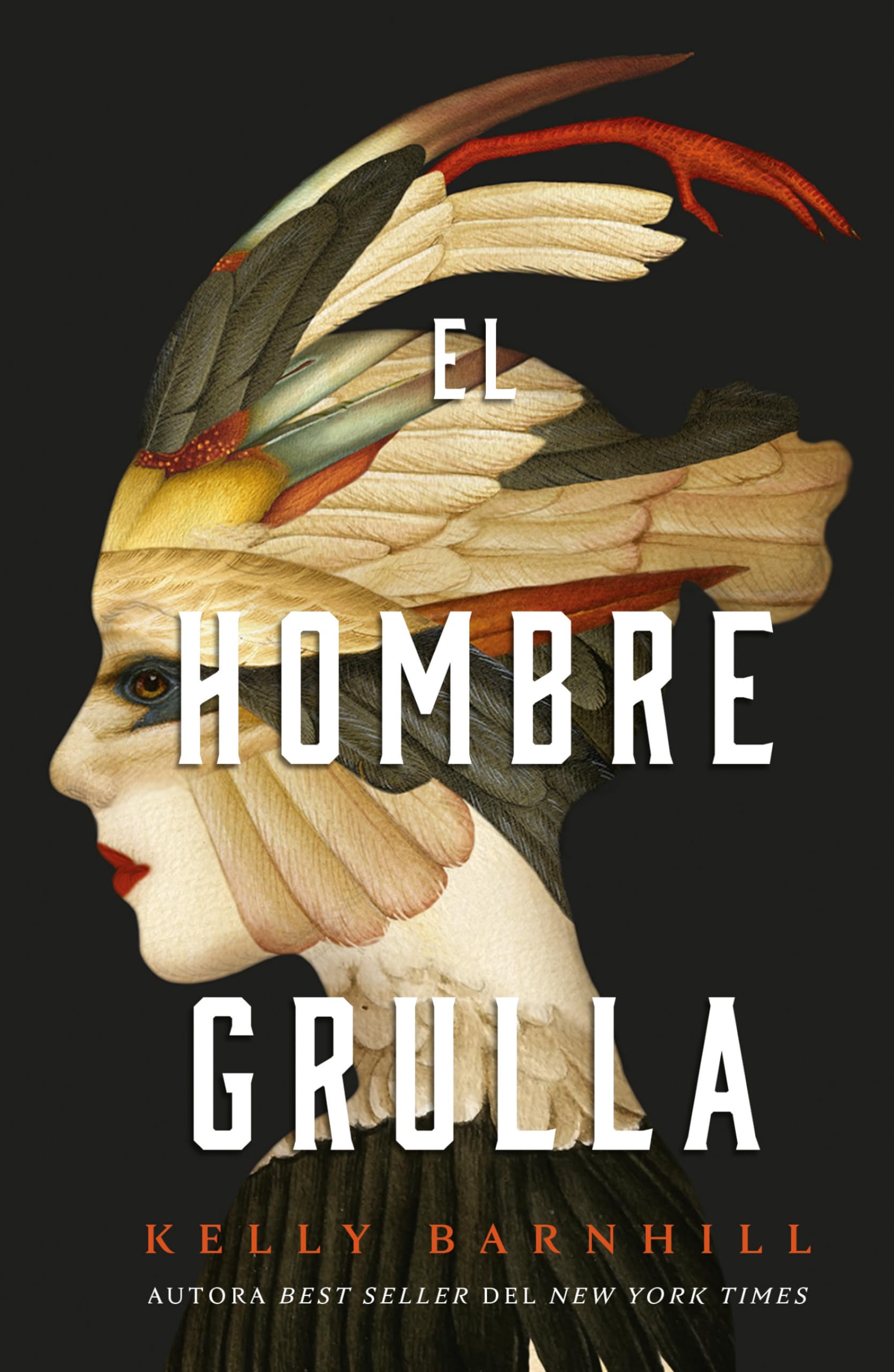 El hombre grulla/ The Crane Husband book