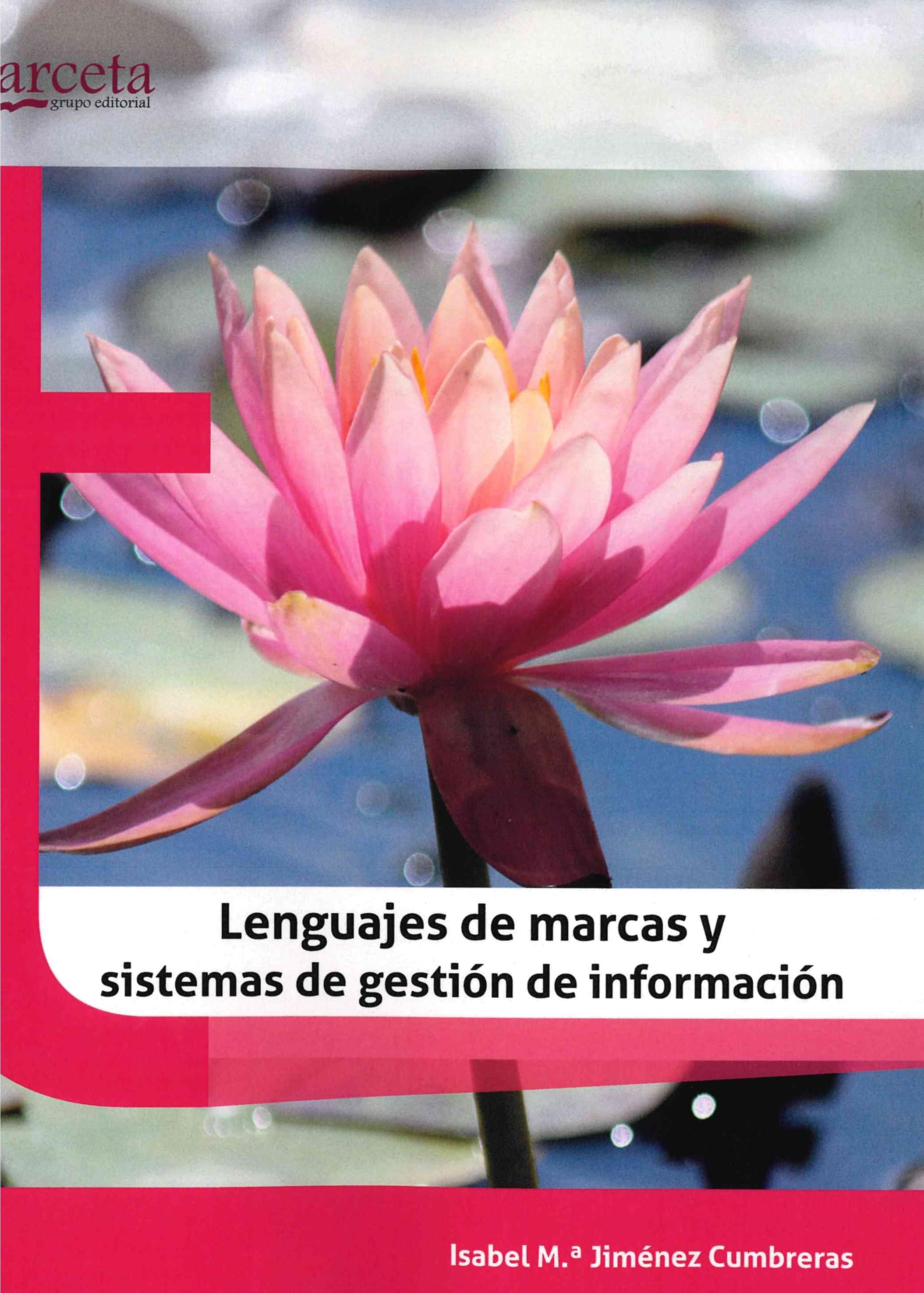 Lenguajes de Marcas: Y Sistemas de Gestión de la Información Books