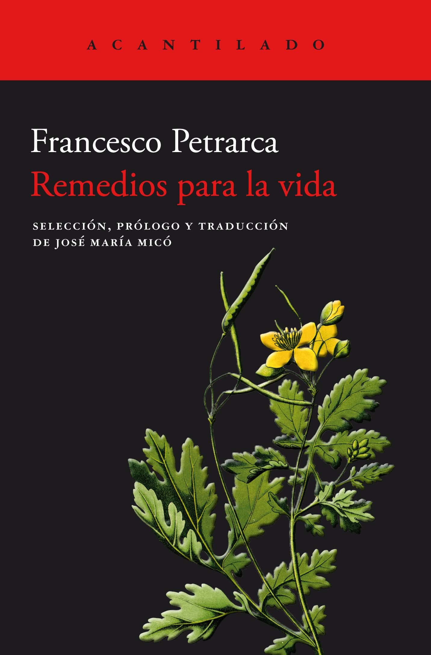 Remedios para la vida/ Remedies for Fortunes book