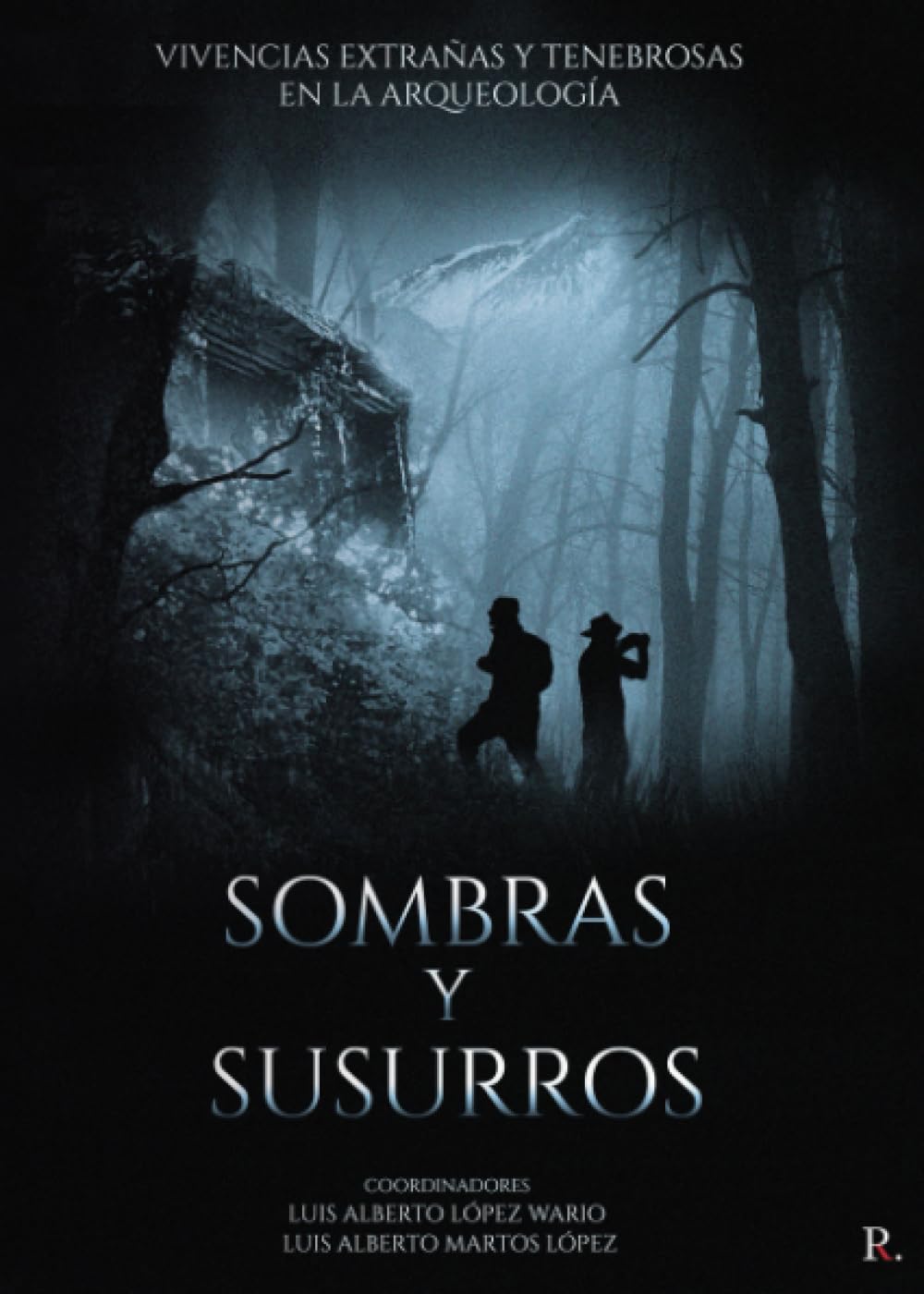 Sombras y susurros: Vivencias extrañas y tenebrosas en la arqueología Social Sciences