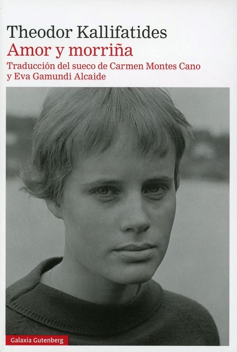 Amor y morriña (Narrativa) Contemporary literature