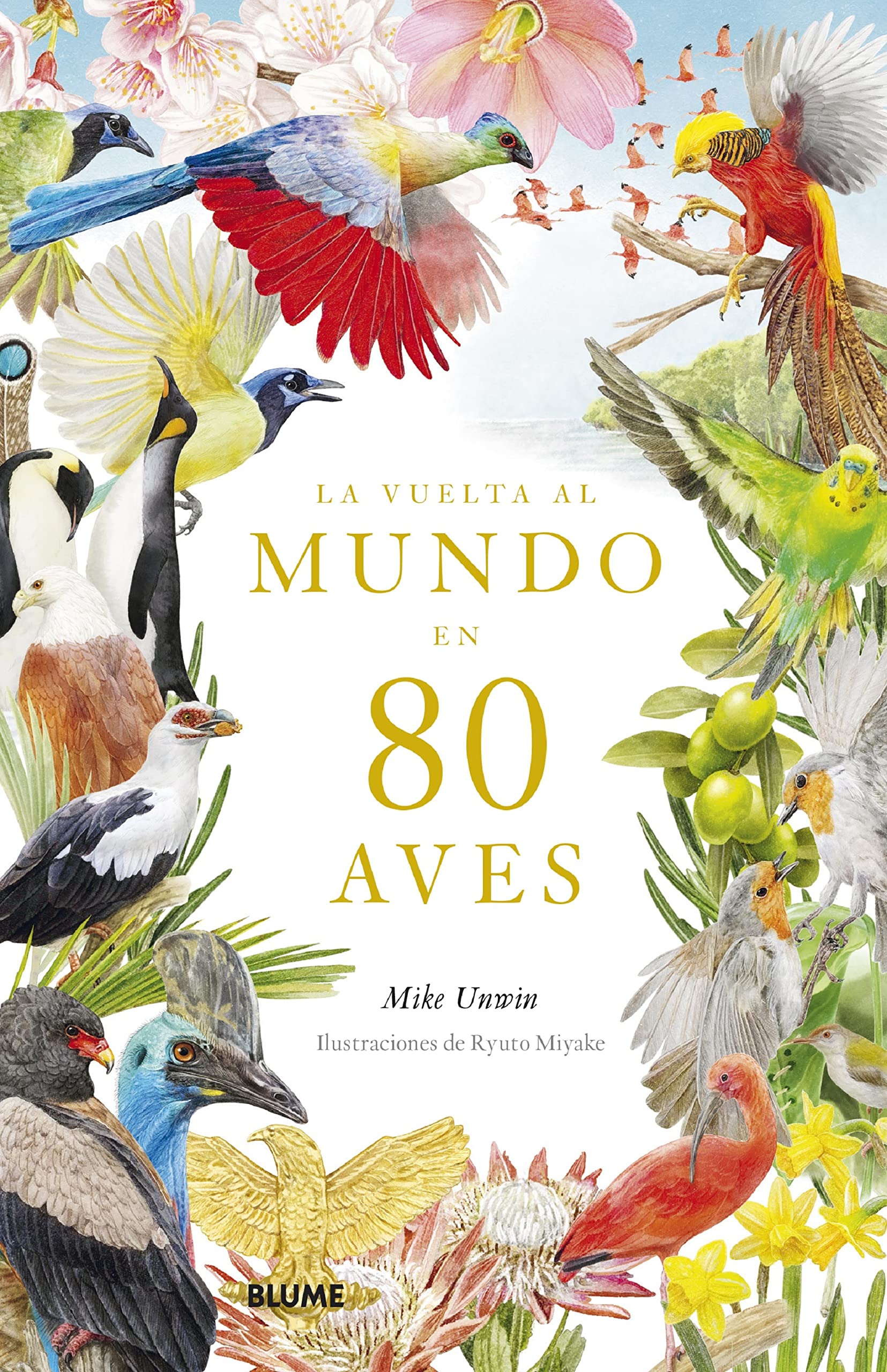 Vuelta al mundo en 80 aves Leisure, Home & Garden