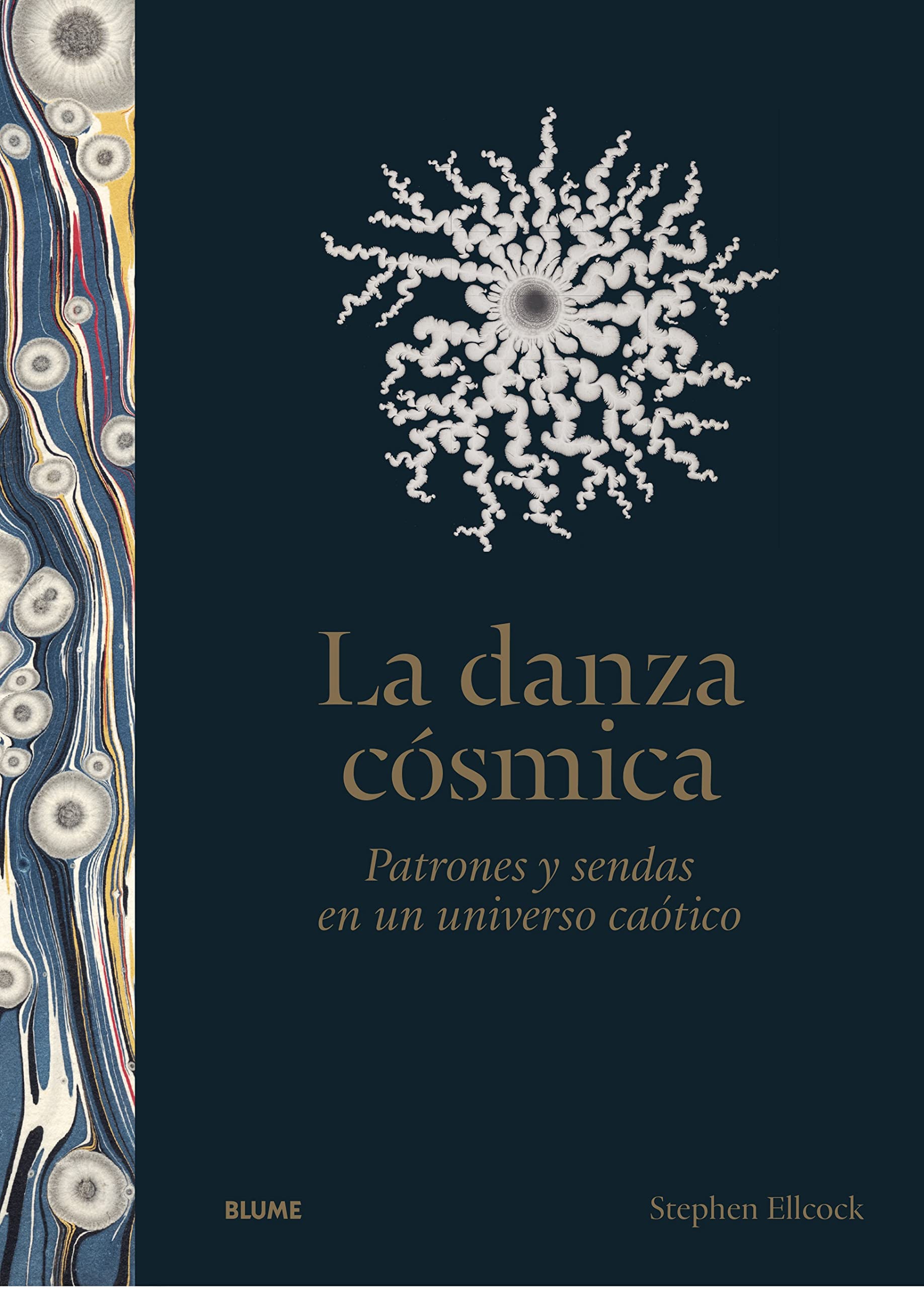 La danza cósmica: Patrones y sendas en un universo caótico Natural Sciences