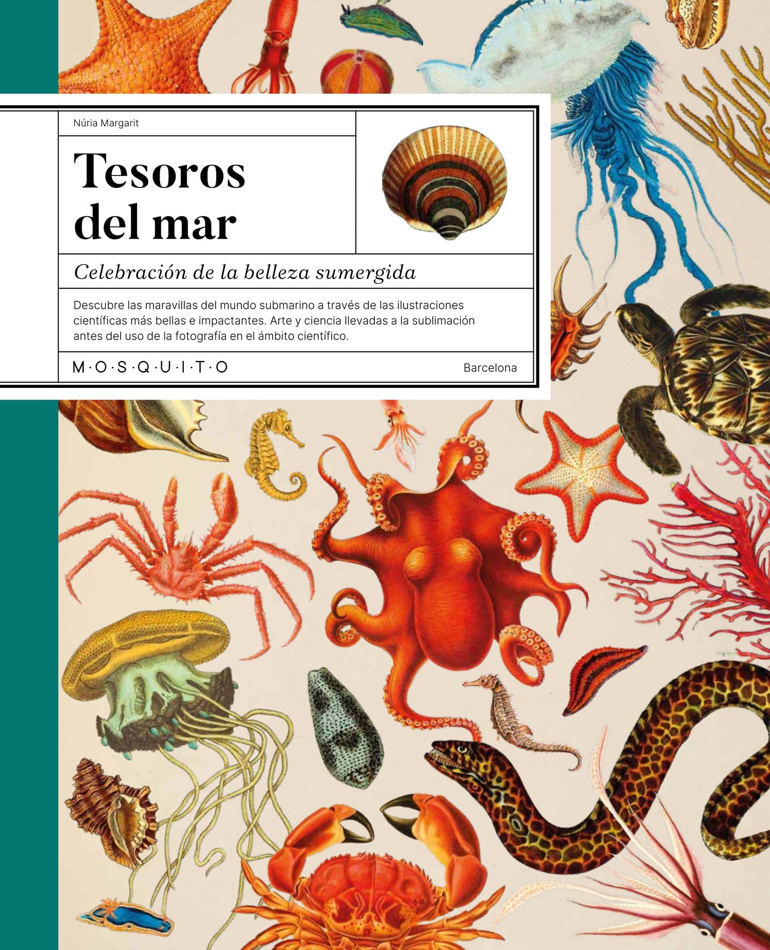 Tesoros del mar: Celebración de la belleza sumergida book