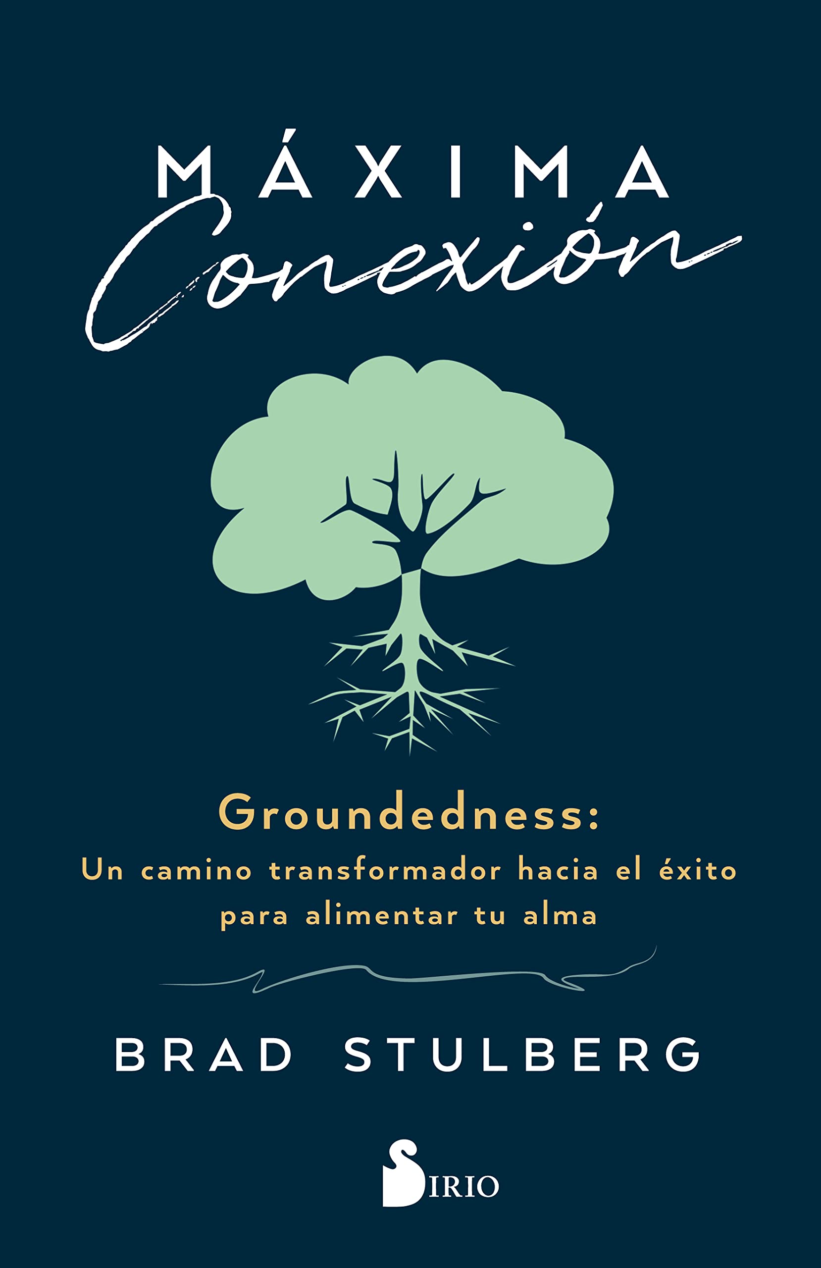 Máxima Conexión: Un camino transformador hacia el éxito para alimentar tu alma Business, Finance & Career
