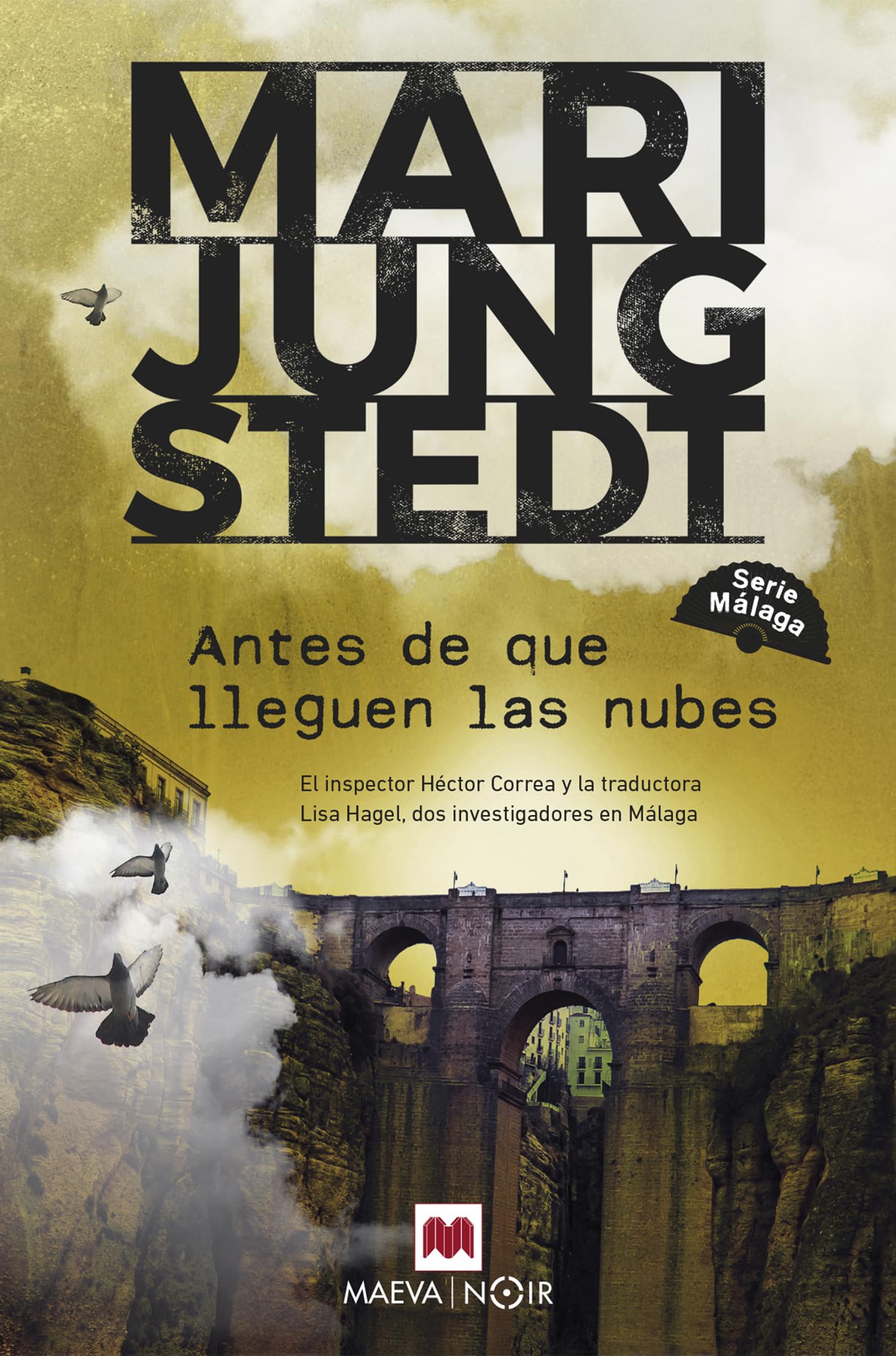 Antes de que lleguen las nubes (Serie Málaga 1): El inspector Héctor Correa y la traductora sueca Lisa Hagel, dos investigadores en Málaga (MAEVA noir) Contemporary literature Books