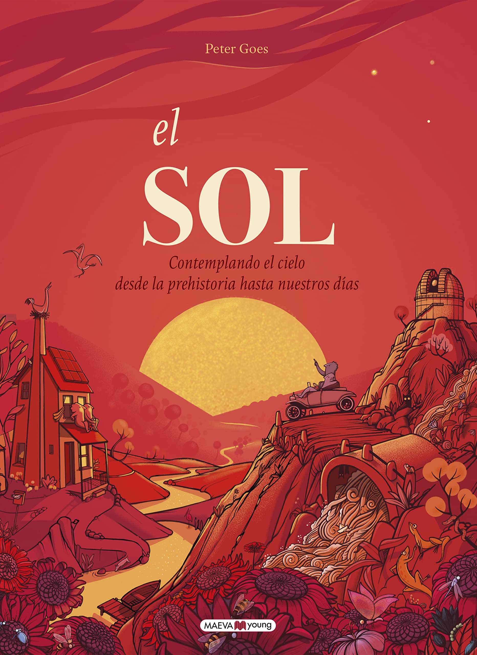 El sol: Contemplando el cielo desde la prehistoria hasta nuestros días (Libros para los que aman los libros) Non-fiction
