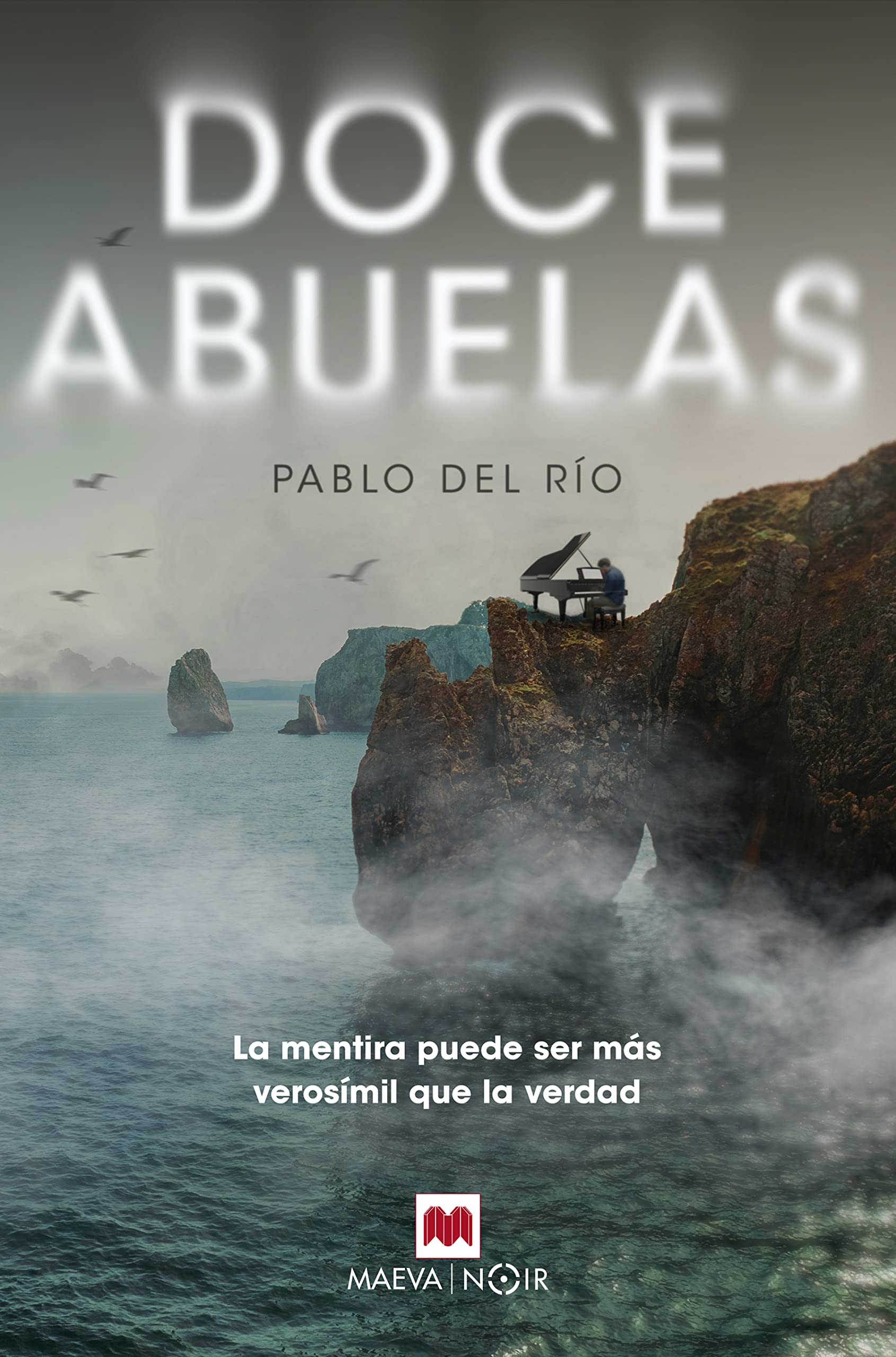 Doce abuelas: Novela negra con humor irónico e investigadores atípicos (MAEVA noir) Contemporary literature