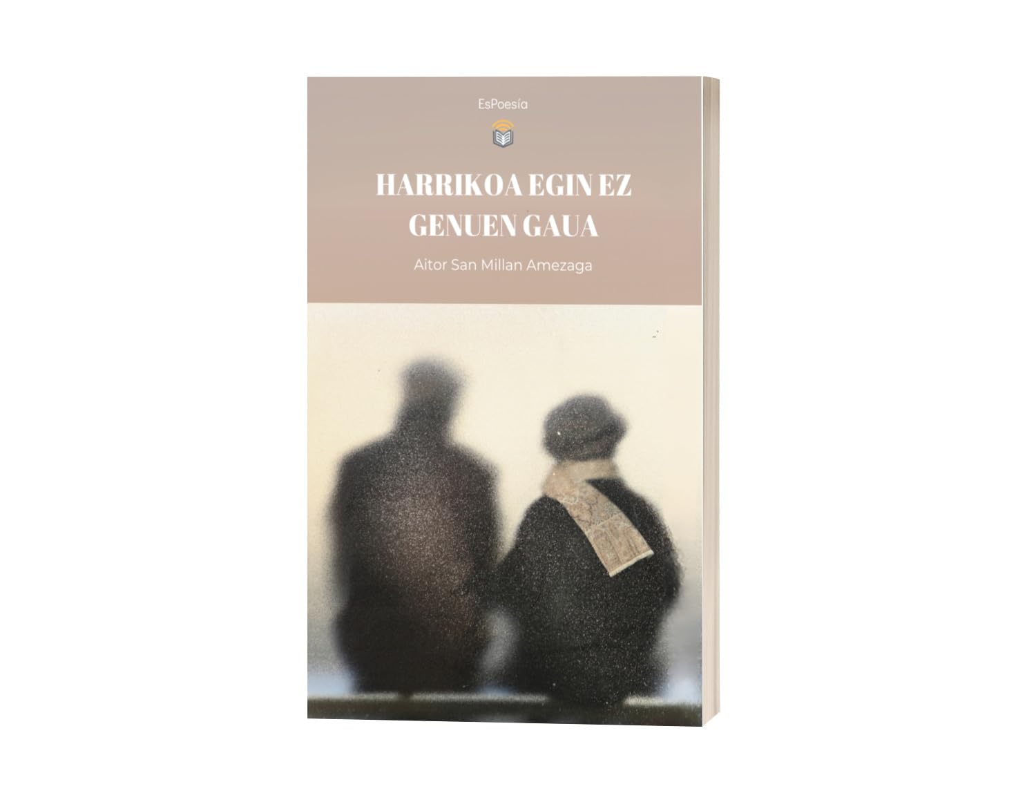 Harrikoa Egin Ez Genuen Gaua Poetry