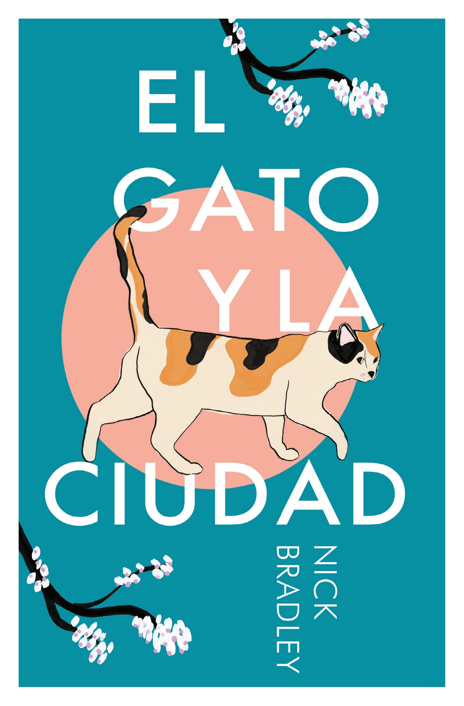 El gato y la ciudad/ The Cat and the City book