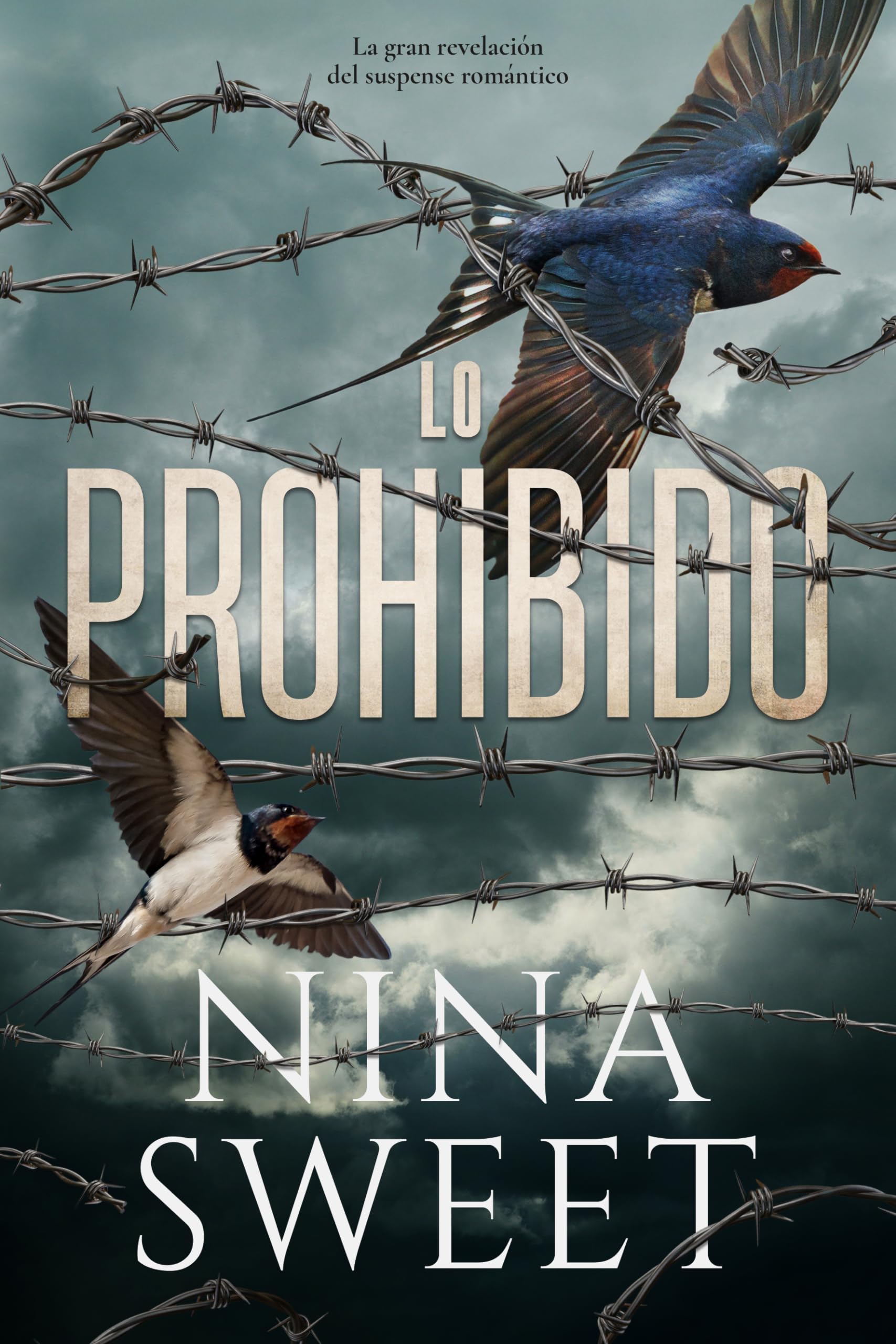Lo prohibido (Titania fresh) Contemporary literature