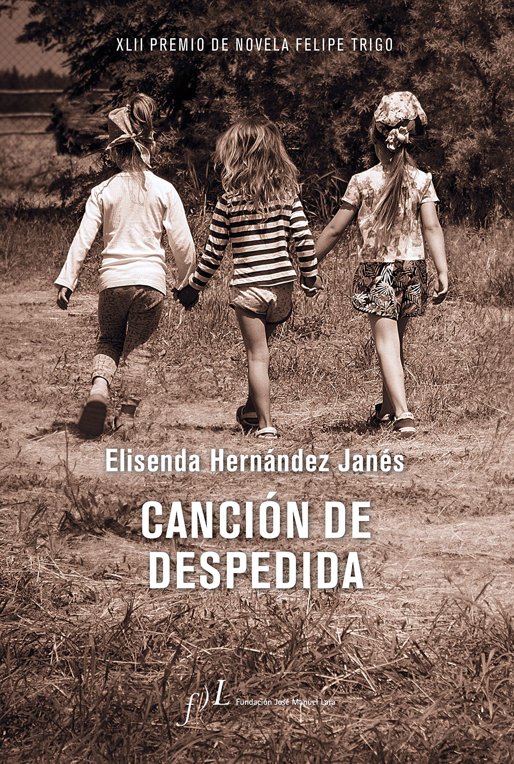 Canción de despedida: XLII Premio de Novela Felipe Trigo Contemporary literature