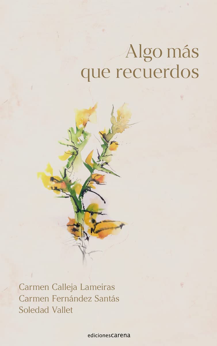 Algo más que recuerdos book