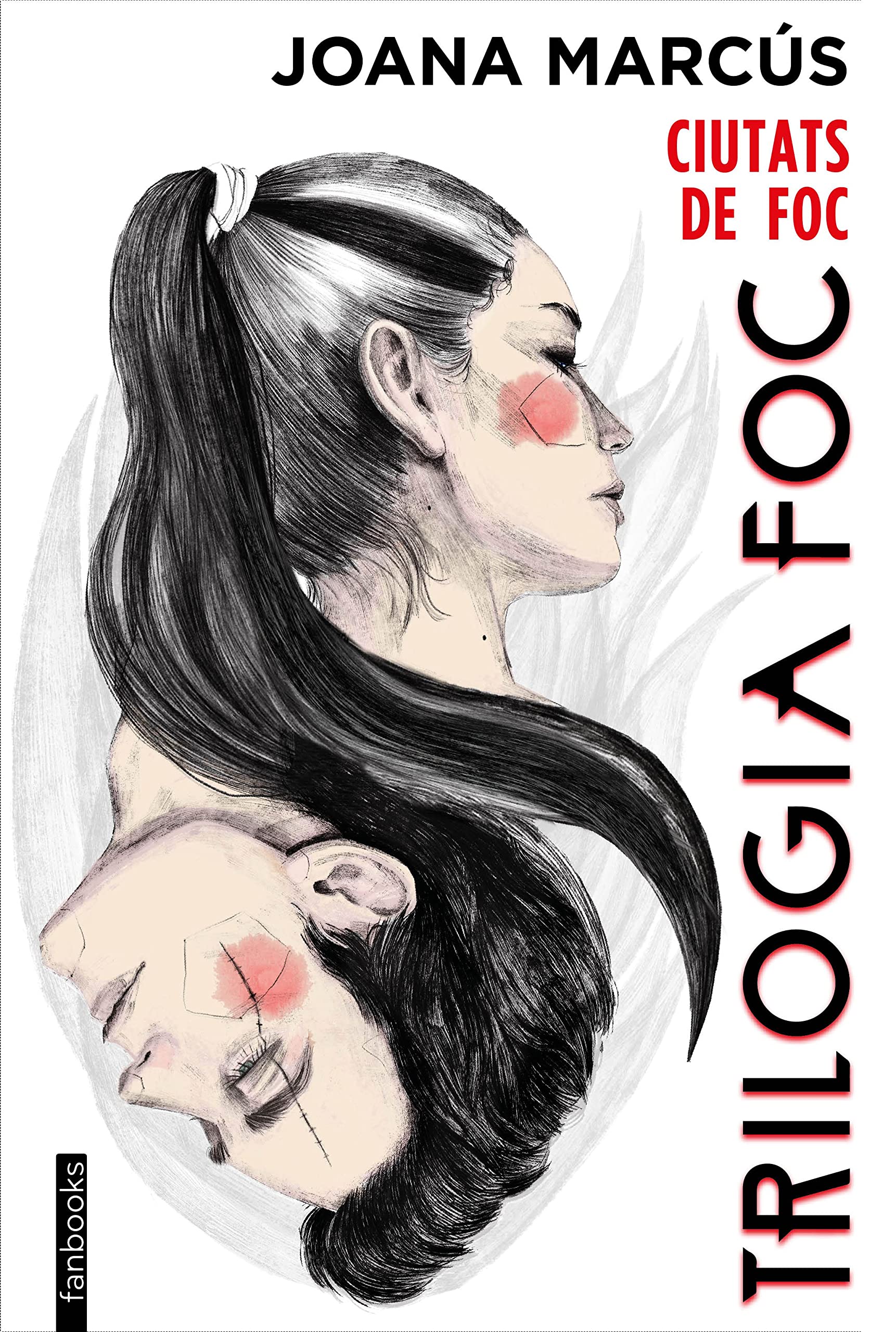 Trilogia Foc 3. Ciutats de Foc (Ficció romàntica, Band 3) Contemporary literature