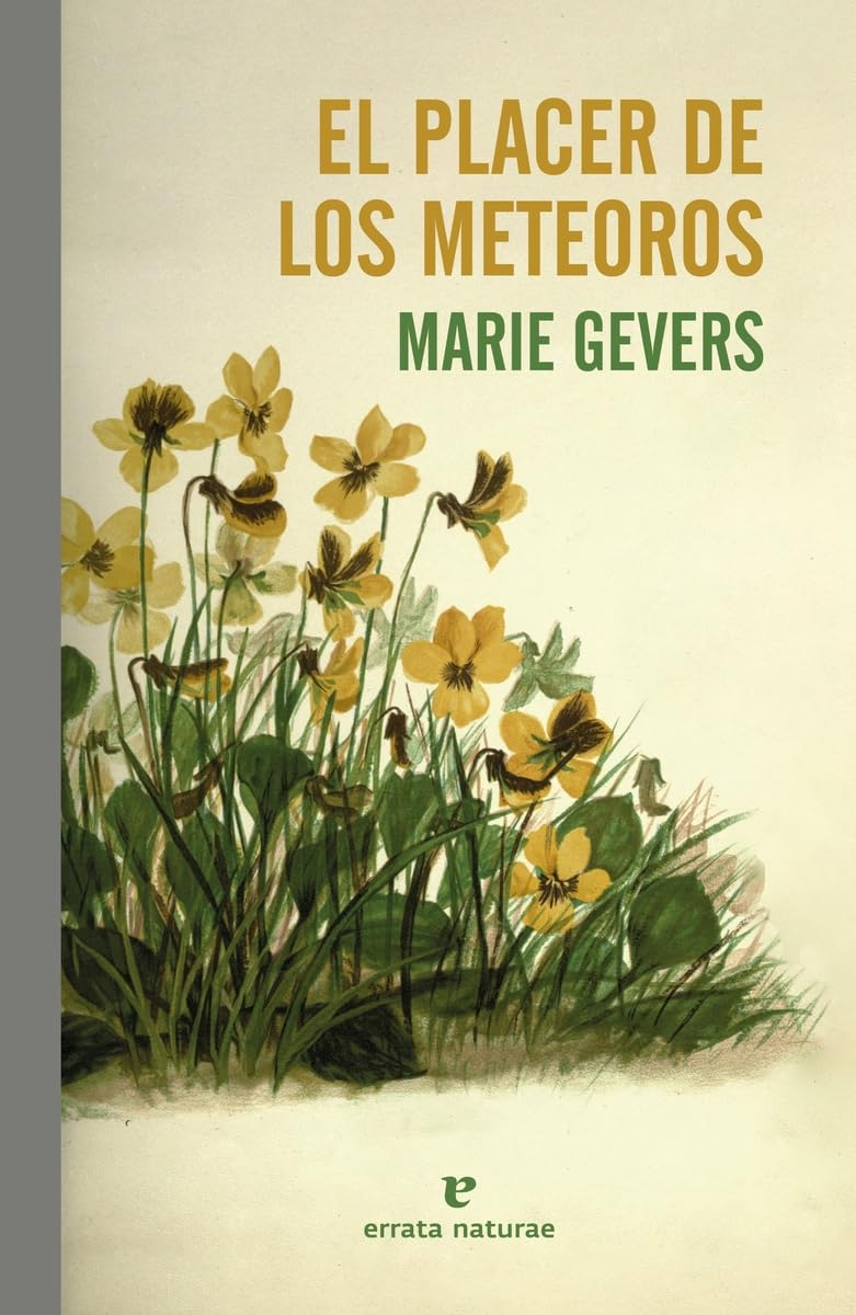 El placer de los meteoros (El Pasaje de los Panoramas) Contemporary literature