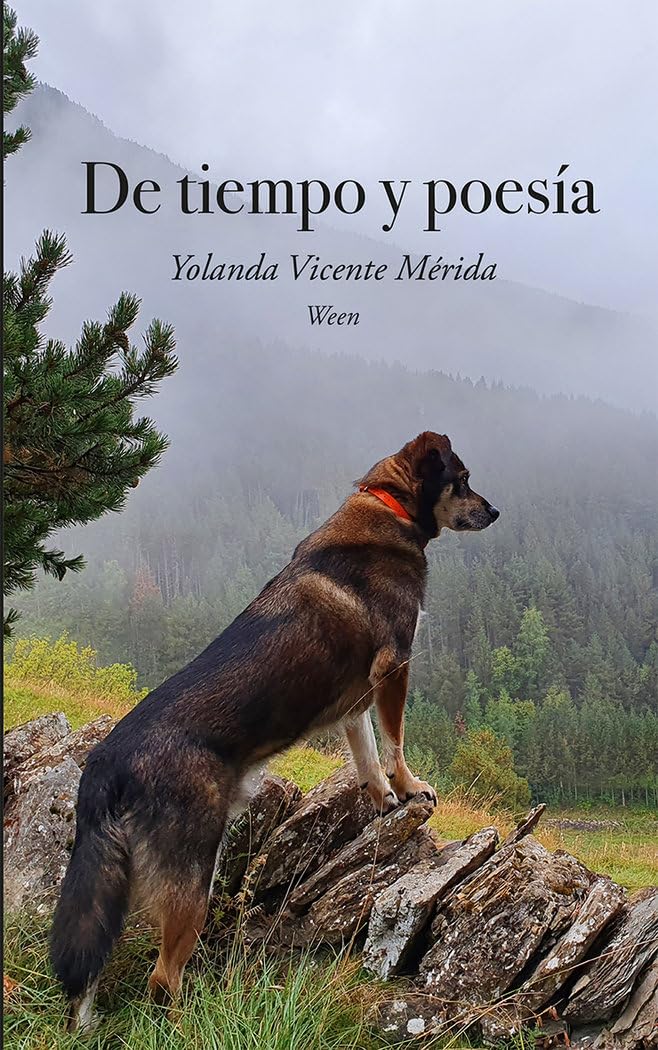 De tiempo y poesía Poetry