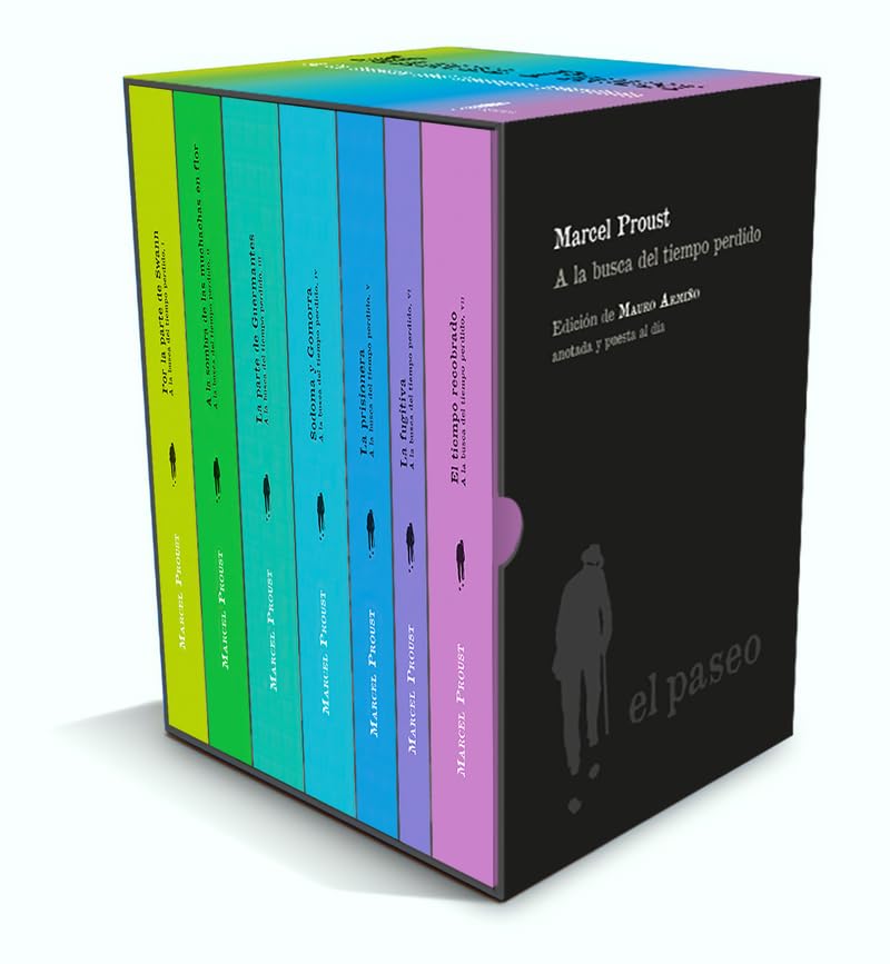 A la busca del tiempo perdido (el paseo central) Contemporary literature