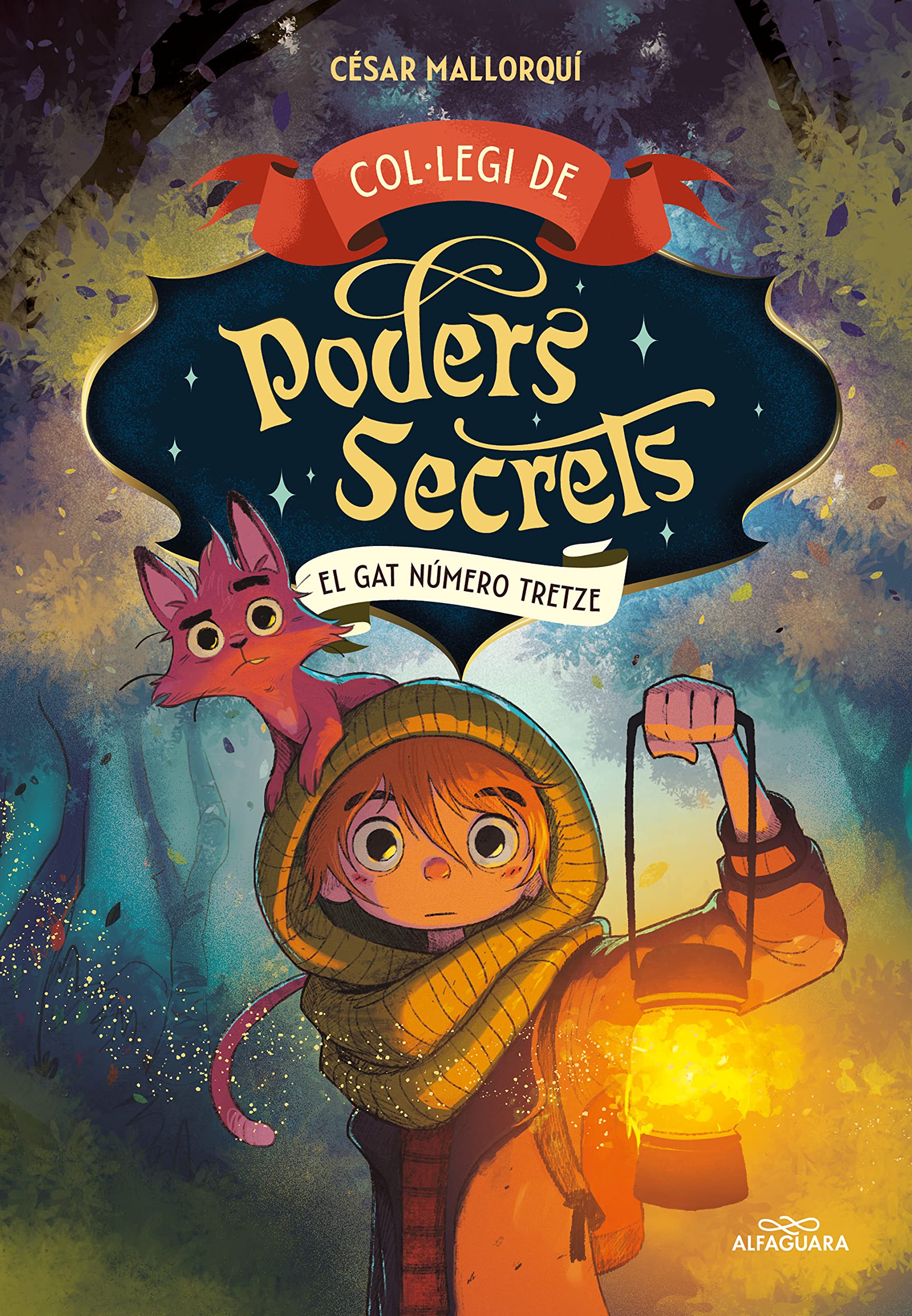 Col·legi de Poders Secrets 1 - El gat número tretze book