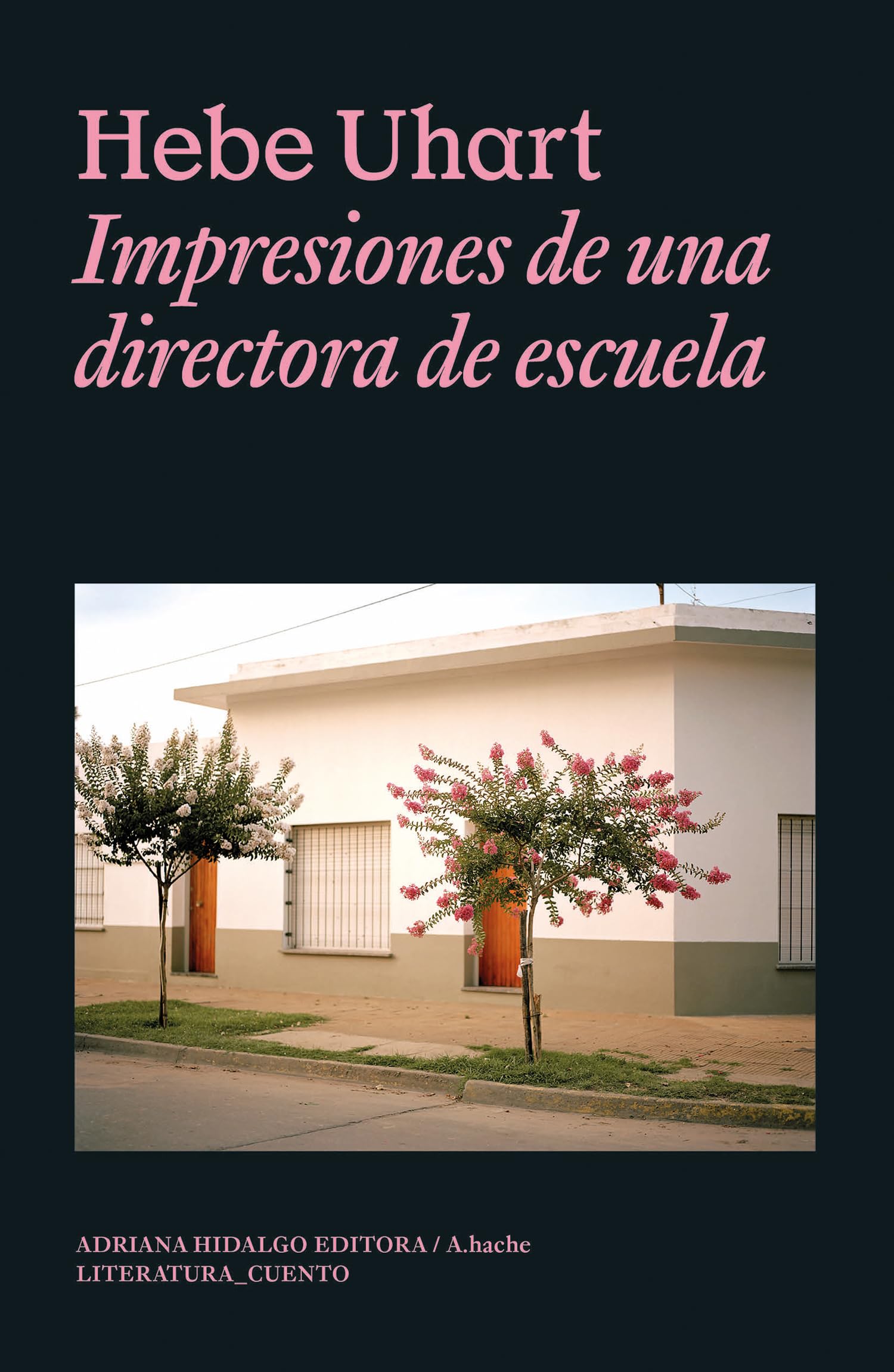 Impresiones de una directora de escuela book