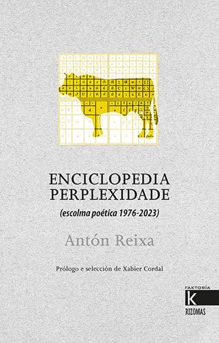Enciclopedia perplexidade: (escolma poética 1976-2023) (Rizomas) Books
