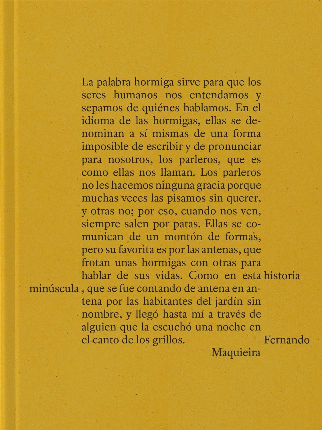 Una Historia Minúscula Photography