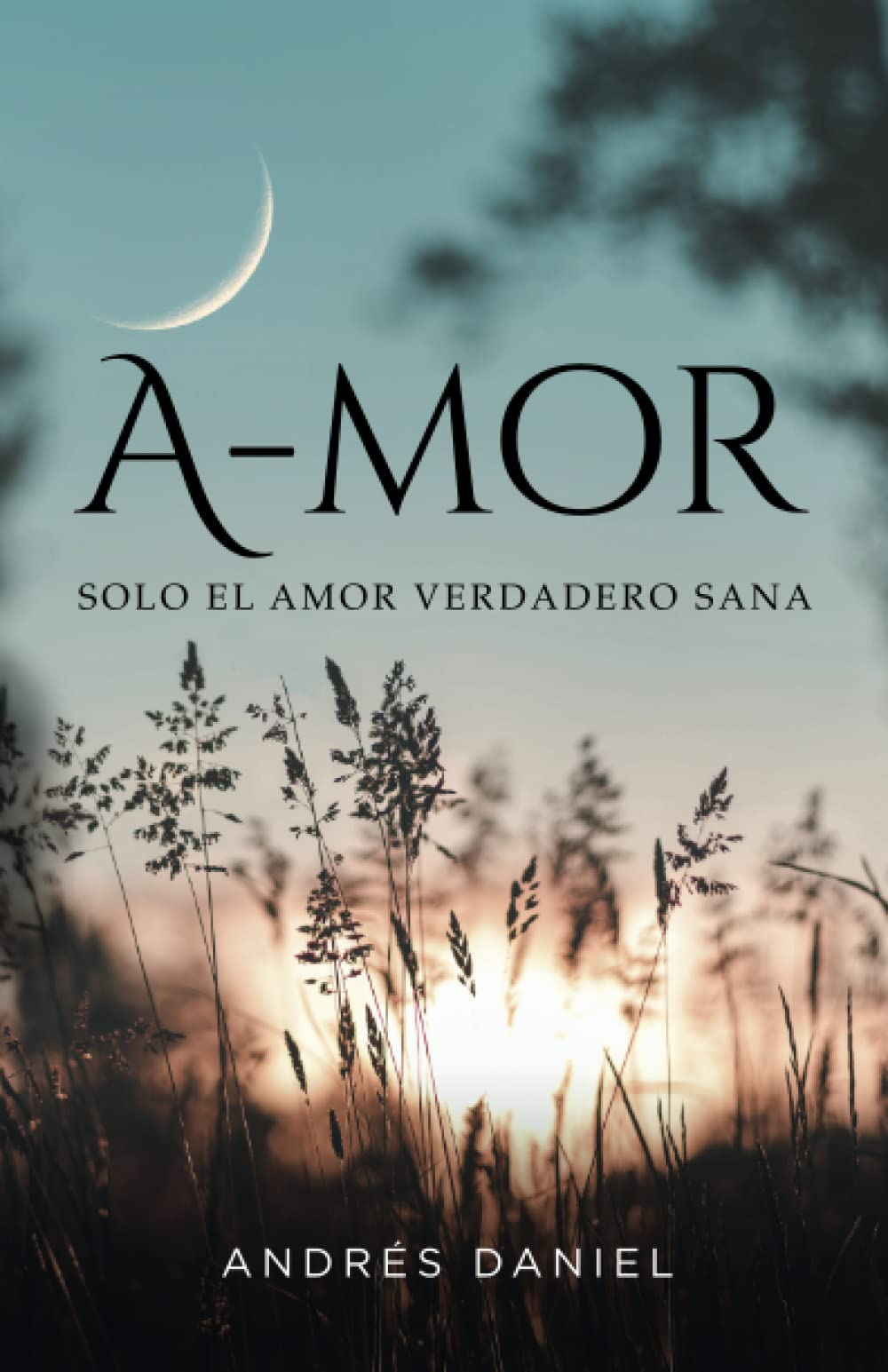 A-mor: Solo el Amor verdadero sana Business, Finance & Career