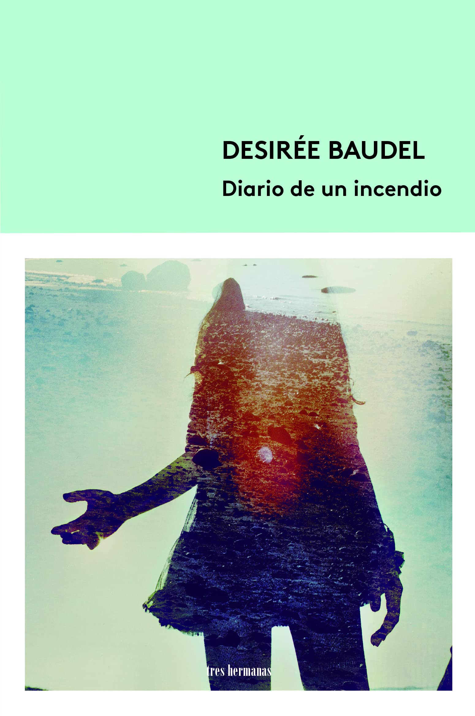 Diario de un incendio (Tierras de la Nieve Roja) Contemporary literature