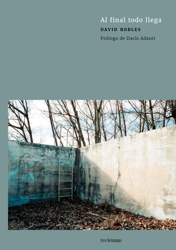 Al final todo llega (Susan Sontag, Band 2) Film, Art & Culture