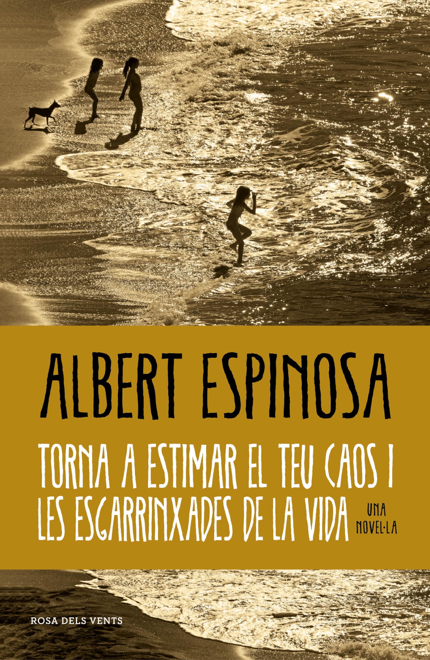 Torna a estimar el teu caos i les esgarrinxades de la vida book