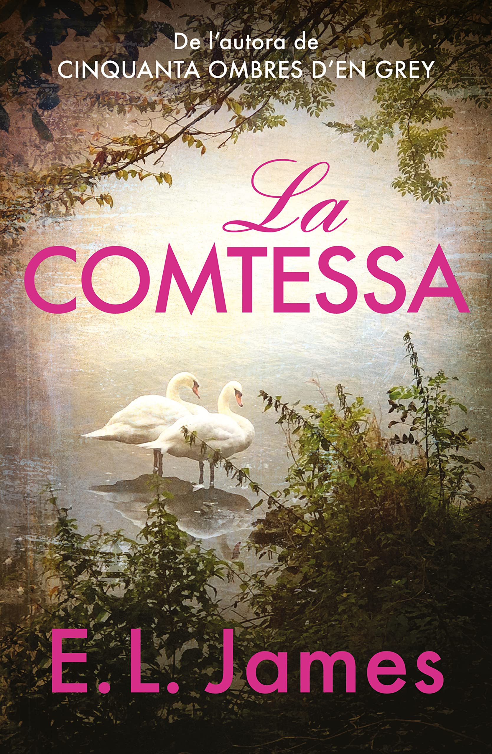 La comtessa (Mister 2) (Narrativa, Band 2) Contemporary literature