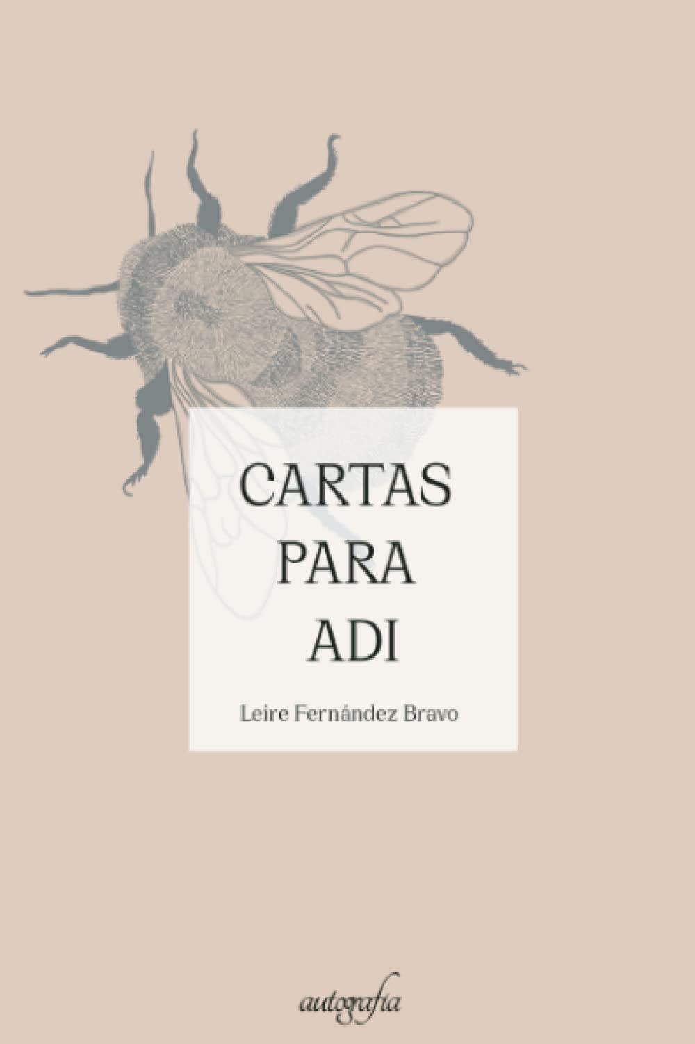 Cartas para Adi Contemporary literature