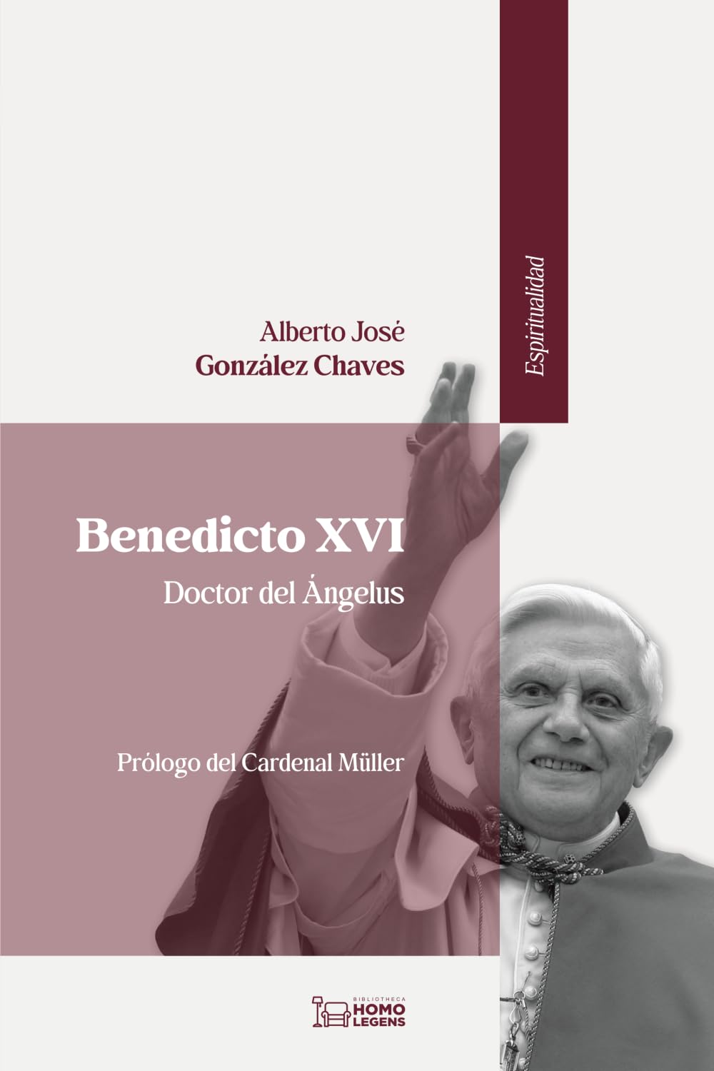 Benedicto XVI: Doctor del Ángelus (Espiritualidad, Band 1) Social Sciences