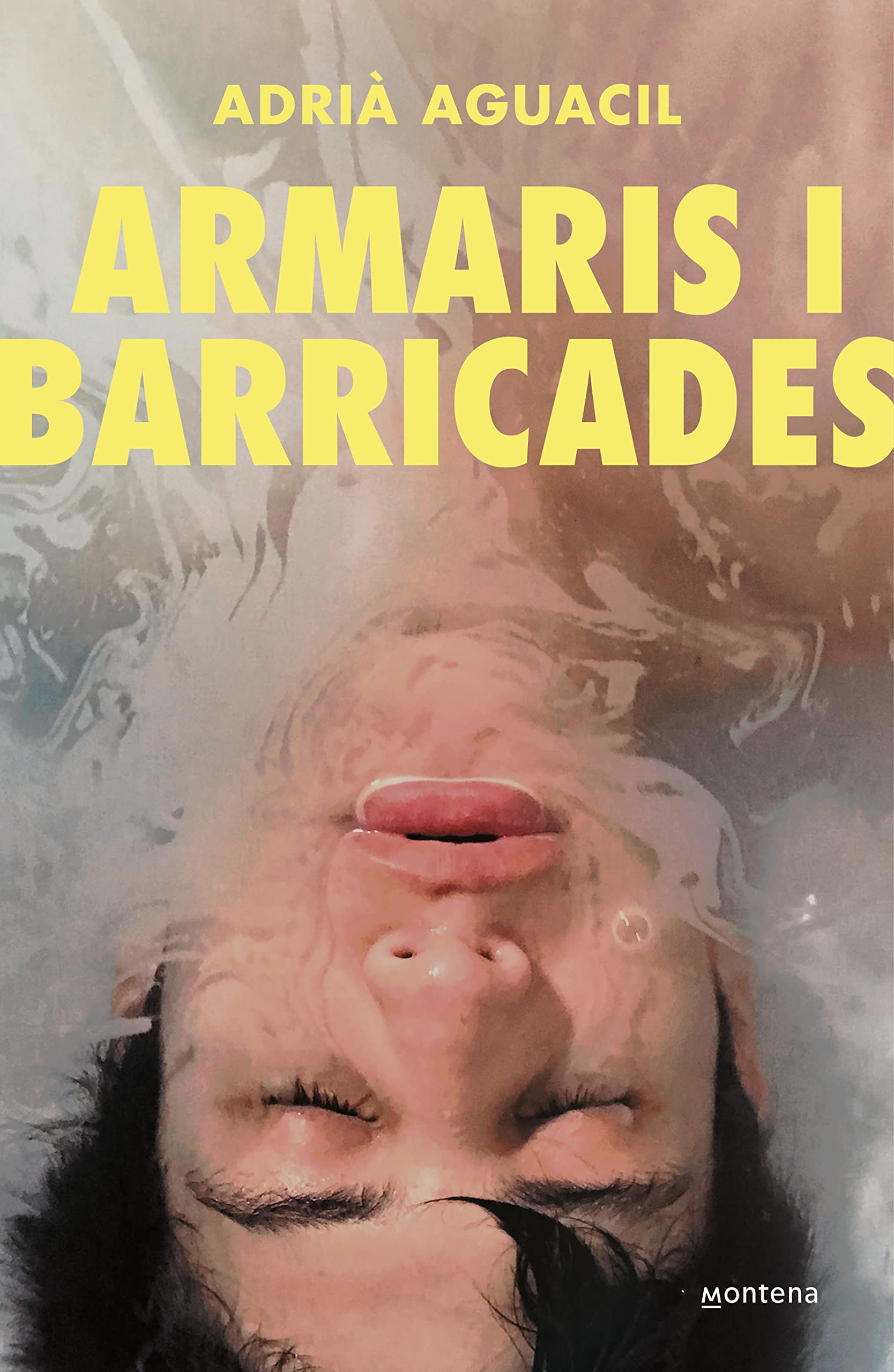 Armaris i barricades book