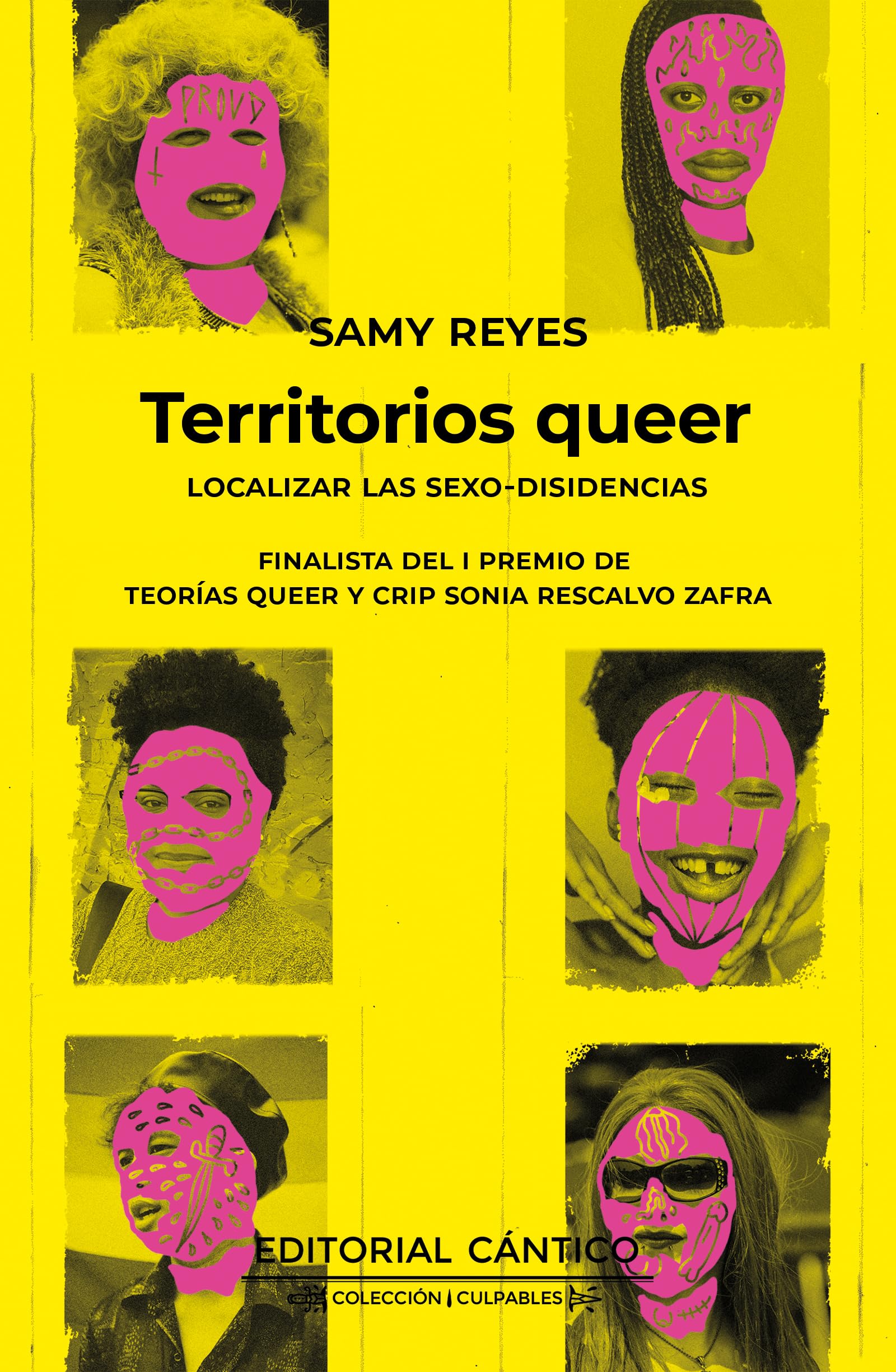 Territorios queer / Queer Territories: Localizar Las Sexodisidencieas book