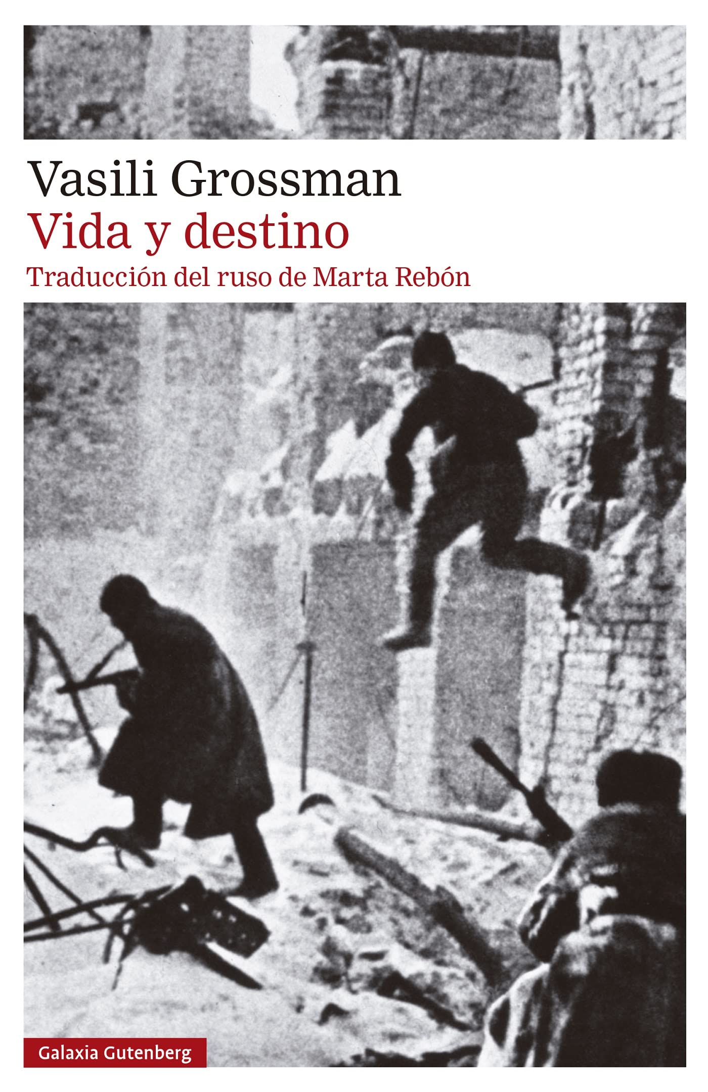 Vida y destino/ Life and Fate book