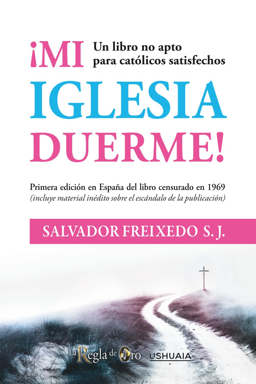 Mi Iglesia duerme: Un libro no apto para católicos satisfechos Books