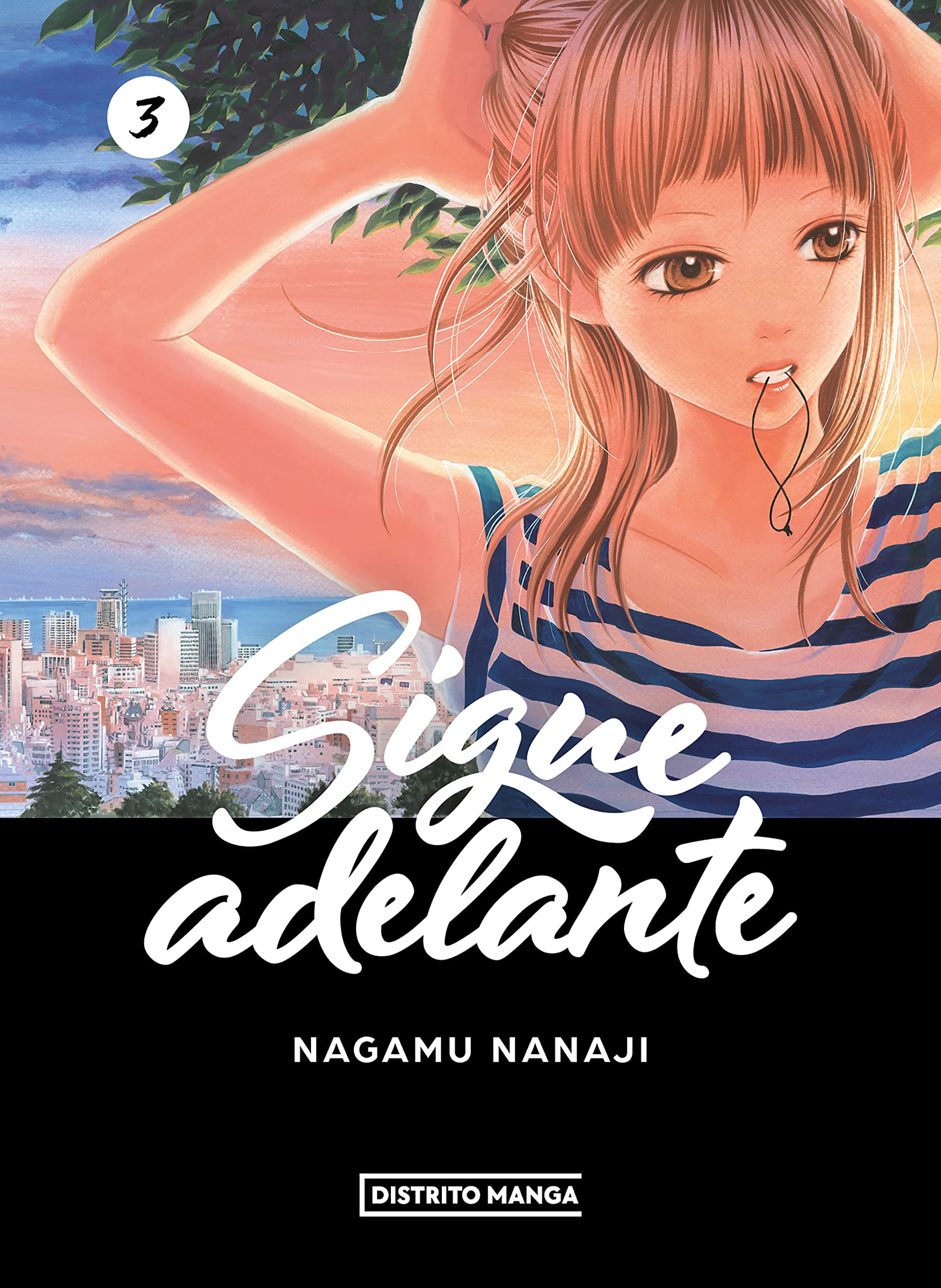 Sigue adelante 3 book