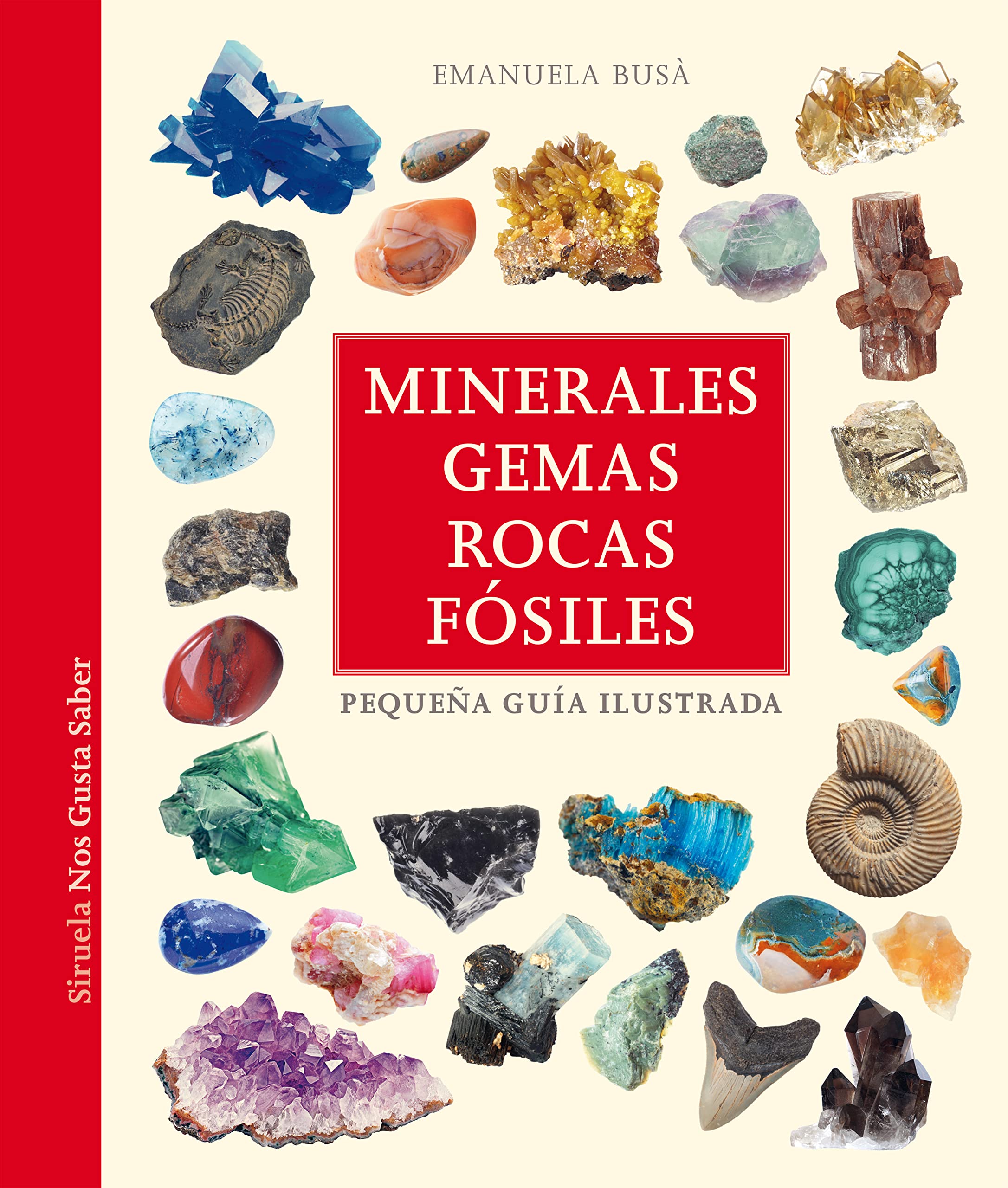 Minerales, gemas, rocas y fósiles: Pequeña guía ilustrada book