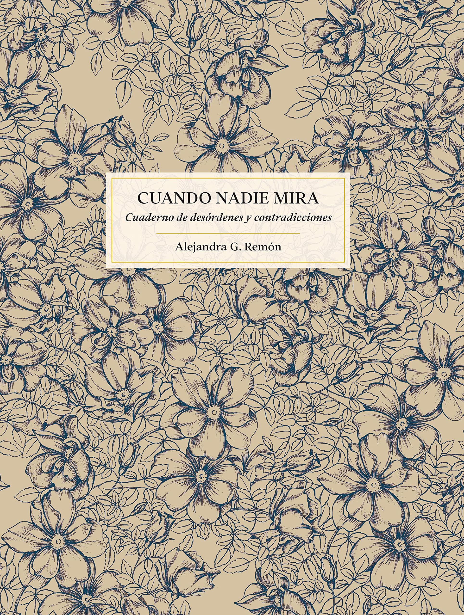 Cuando nadie mira: Cuaderno de desórdenes y contradicciones book