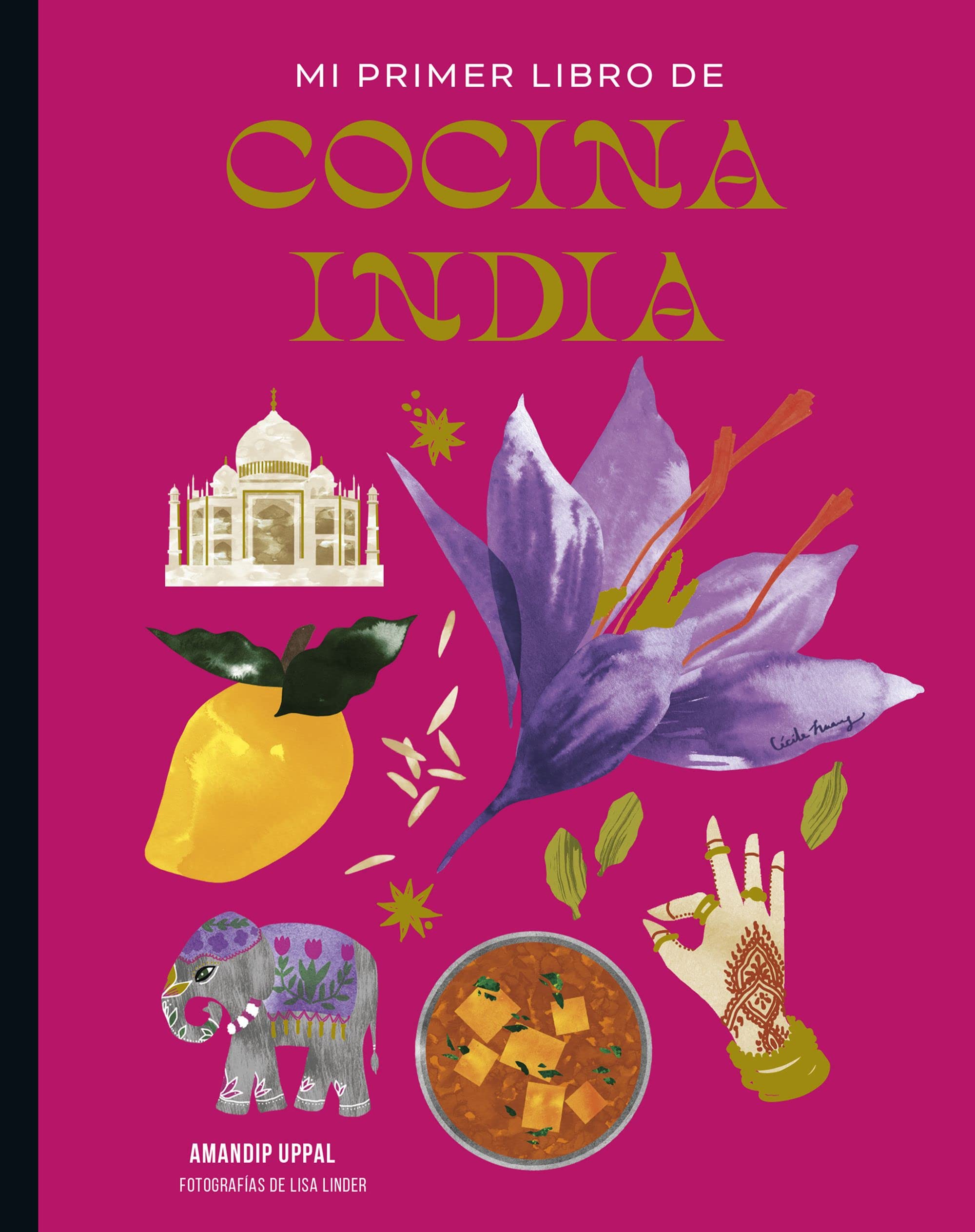 Mi primer libro de cocina india book