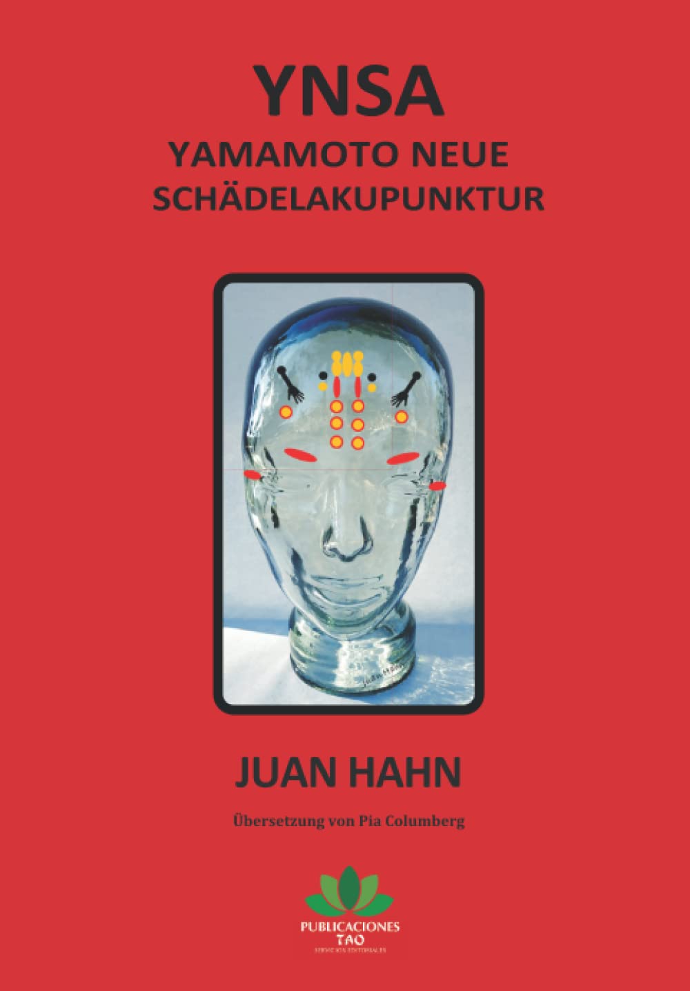 YNSA: Yamamoto Neue Schädelakupunktur book