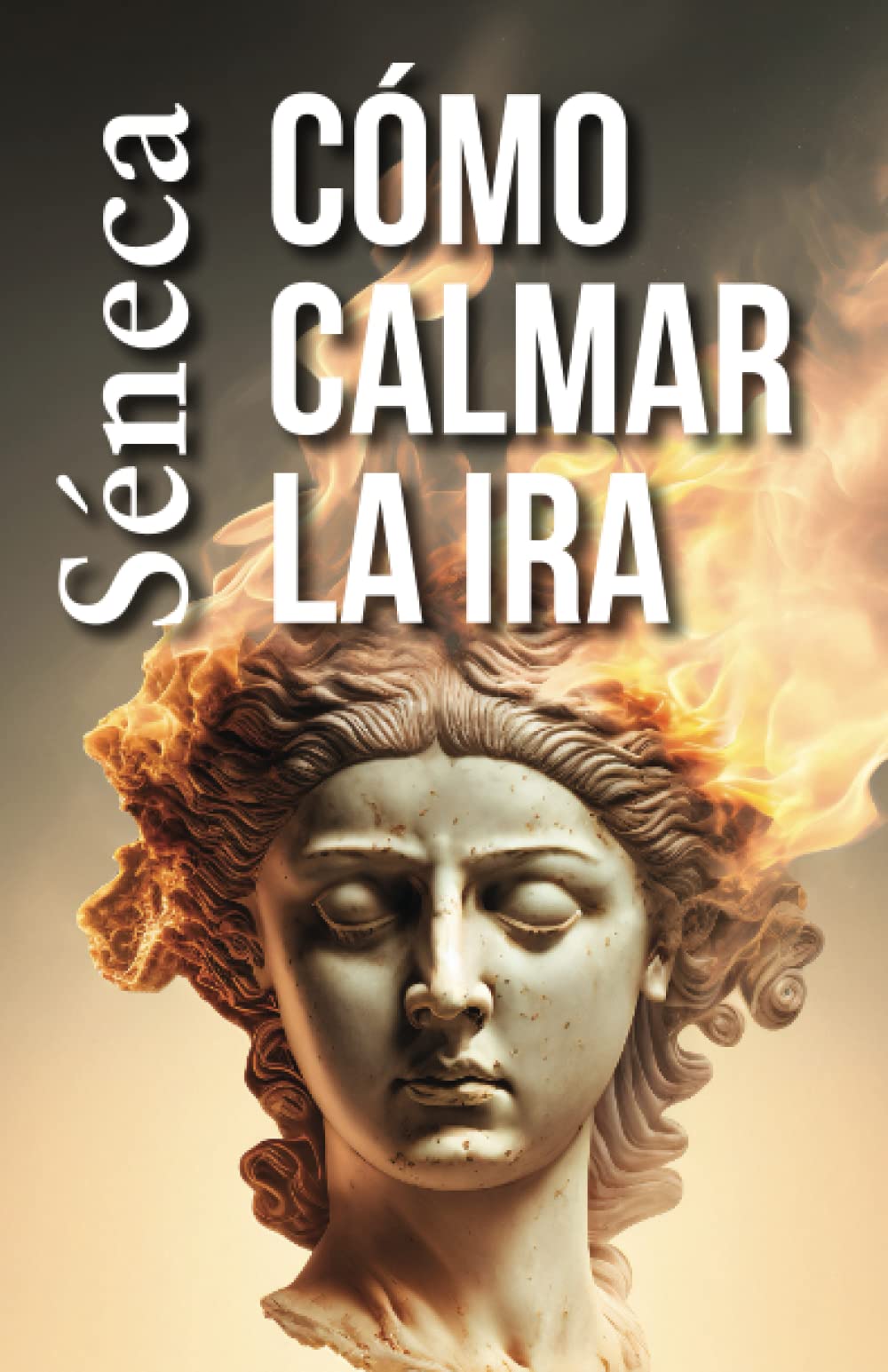 CÓMO CALMAR LA IRA: Consejos estoicos para un vida mejor Philosophy