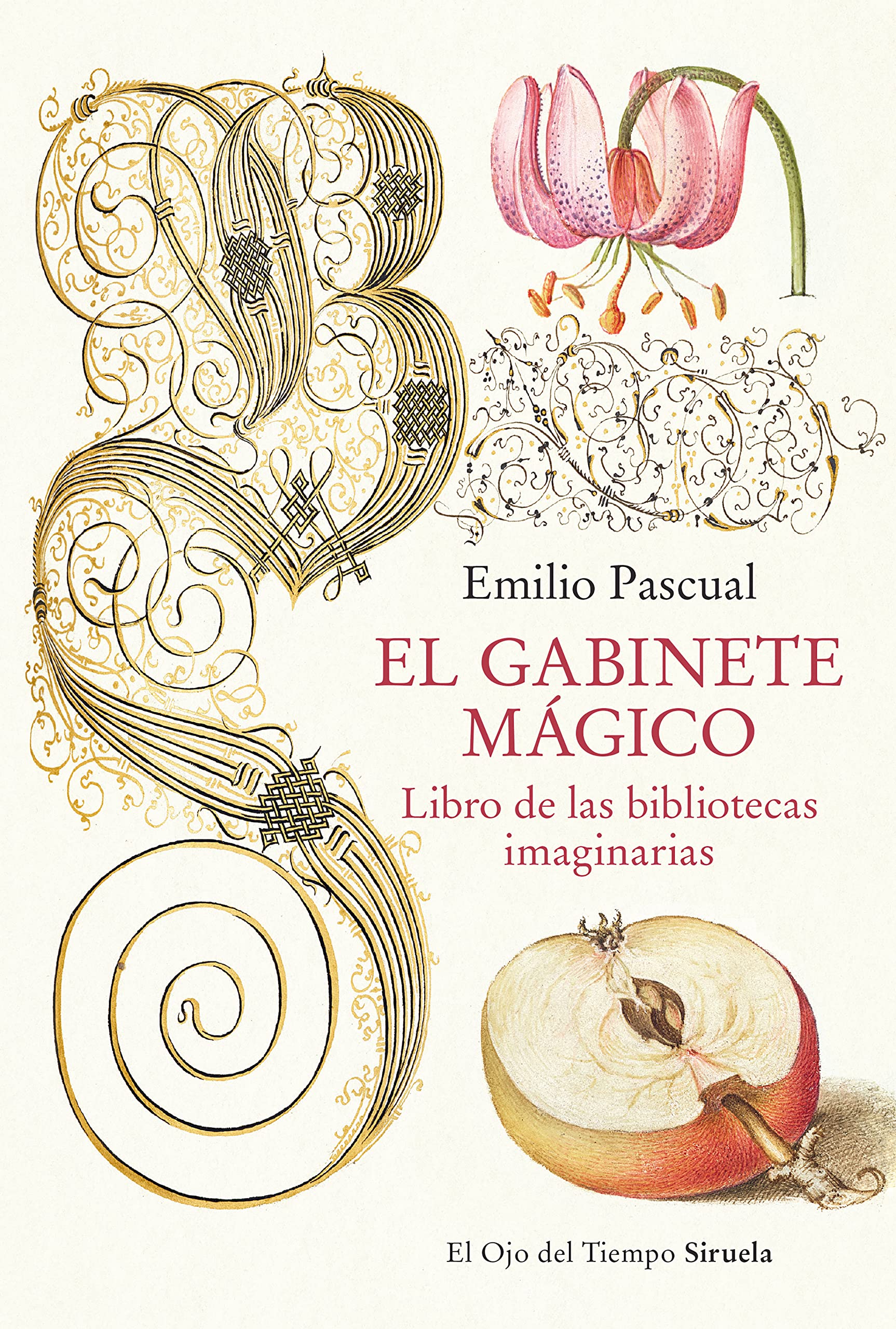El gabinete mágico: Libro de las bibliotecas imaginarias (El Ojo del Tiempo, Band 141) Books