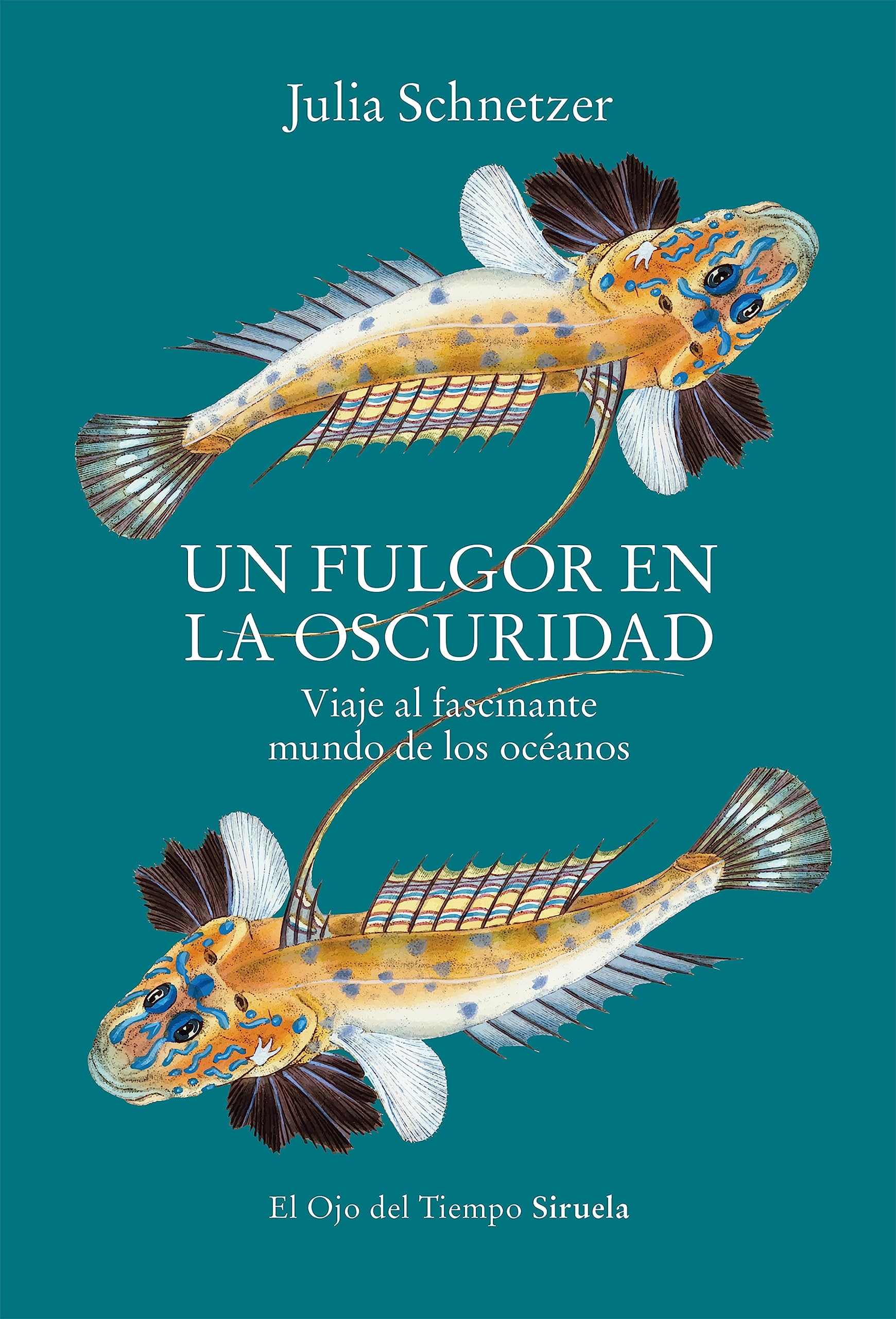 Un fulgor en la oscuridad: Viaje al fascinante mundo de los océanos (El Ojo del Tiempo, Band 145) Books