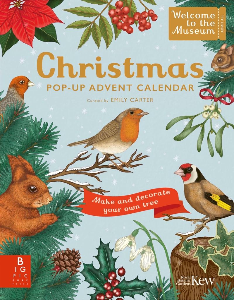 Navidad: Calendario de Adviento desplegable book