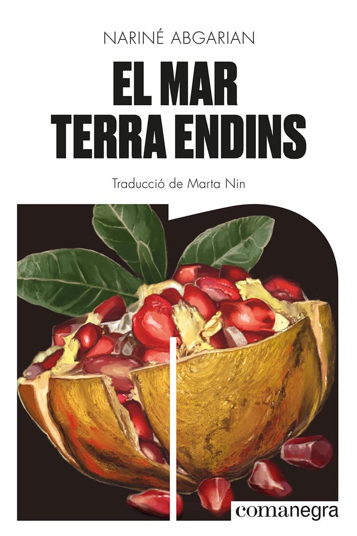 El mar terra endins (Narratives, Band 22) Contemporary literature