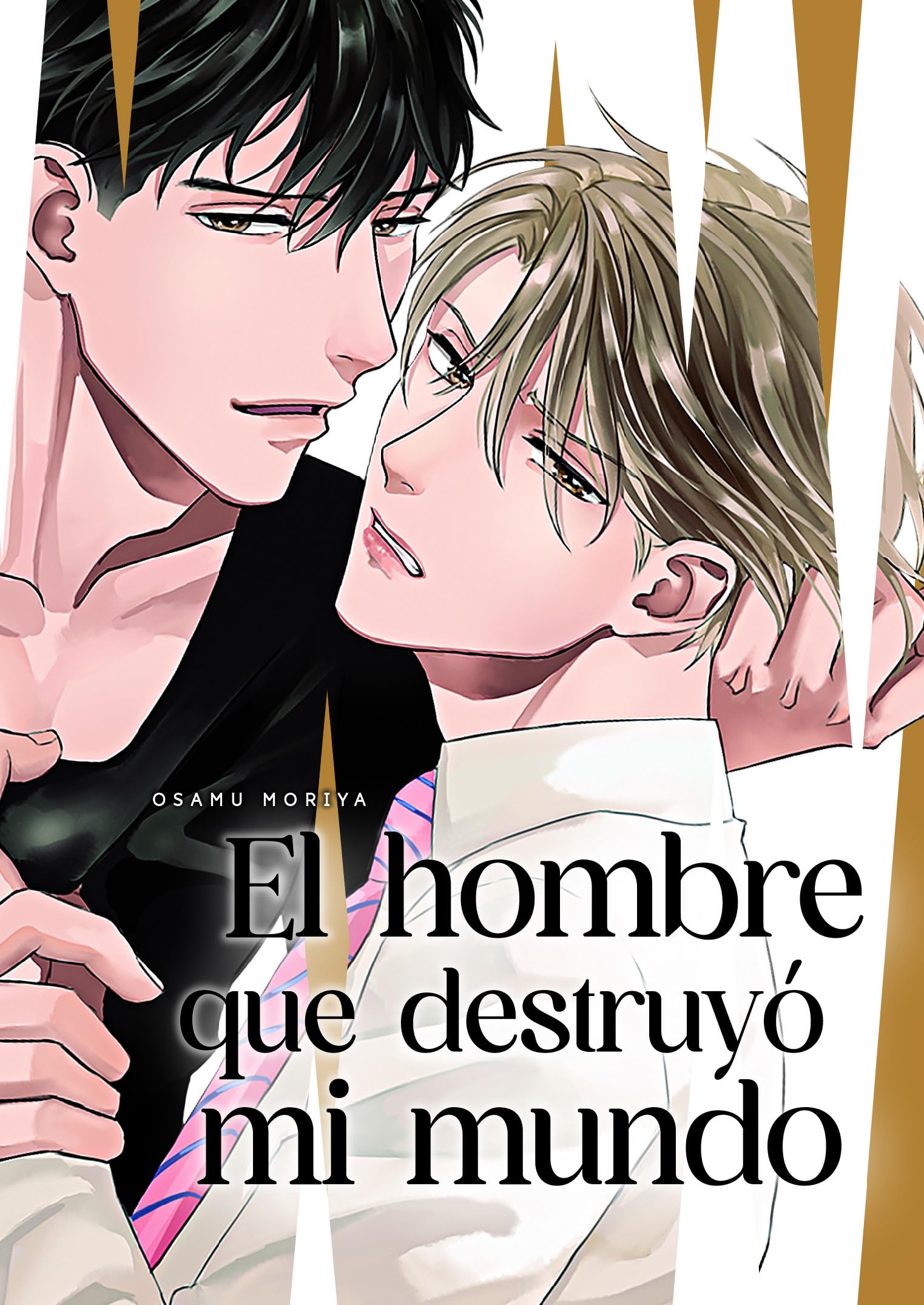 EL HOMBRE QUE DESTRUYO MI MUNDO book
