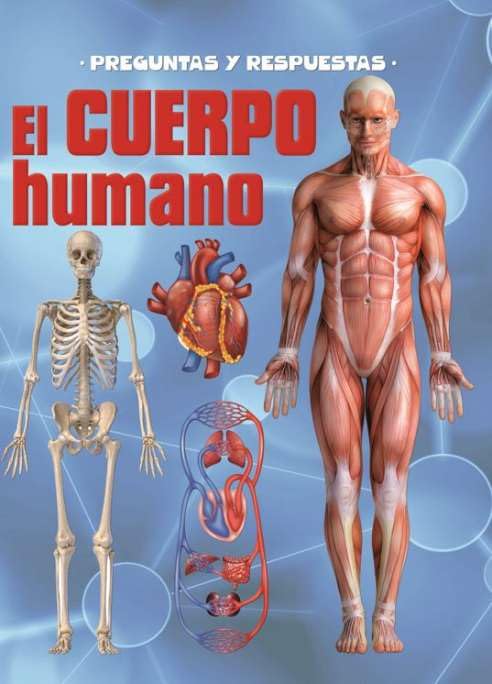 PREGUNTAS Y RESPUESTAS EL CUERPO HUMANO book