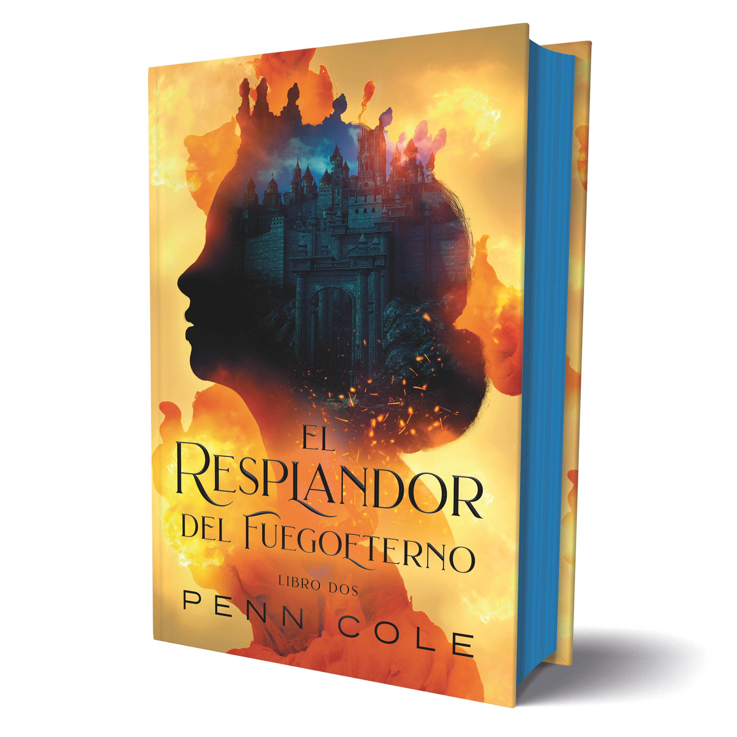 El resplandor del Fuegoeterno (TBR) Contemporary literature